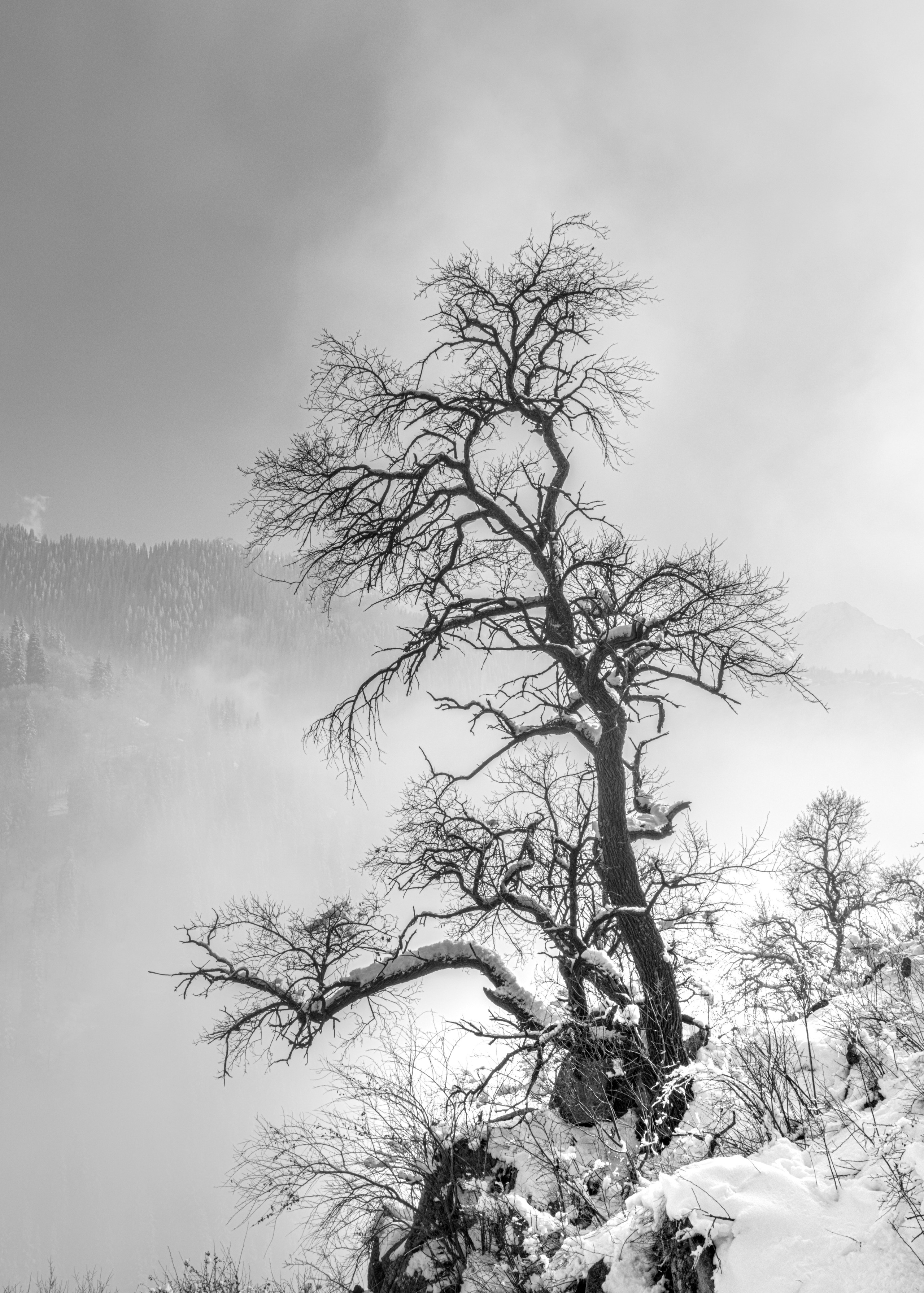 Дыхание высоты. VXN GALLERY