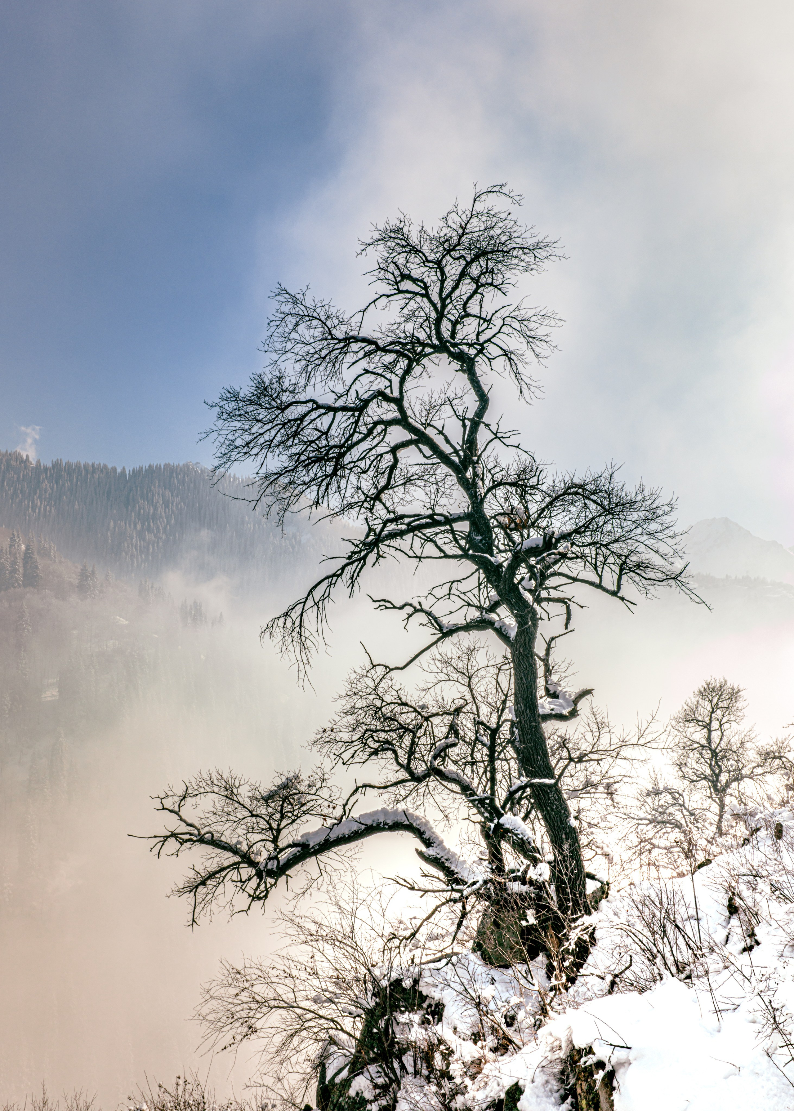 Дыхание высоты. VXN GALLERY