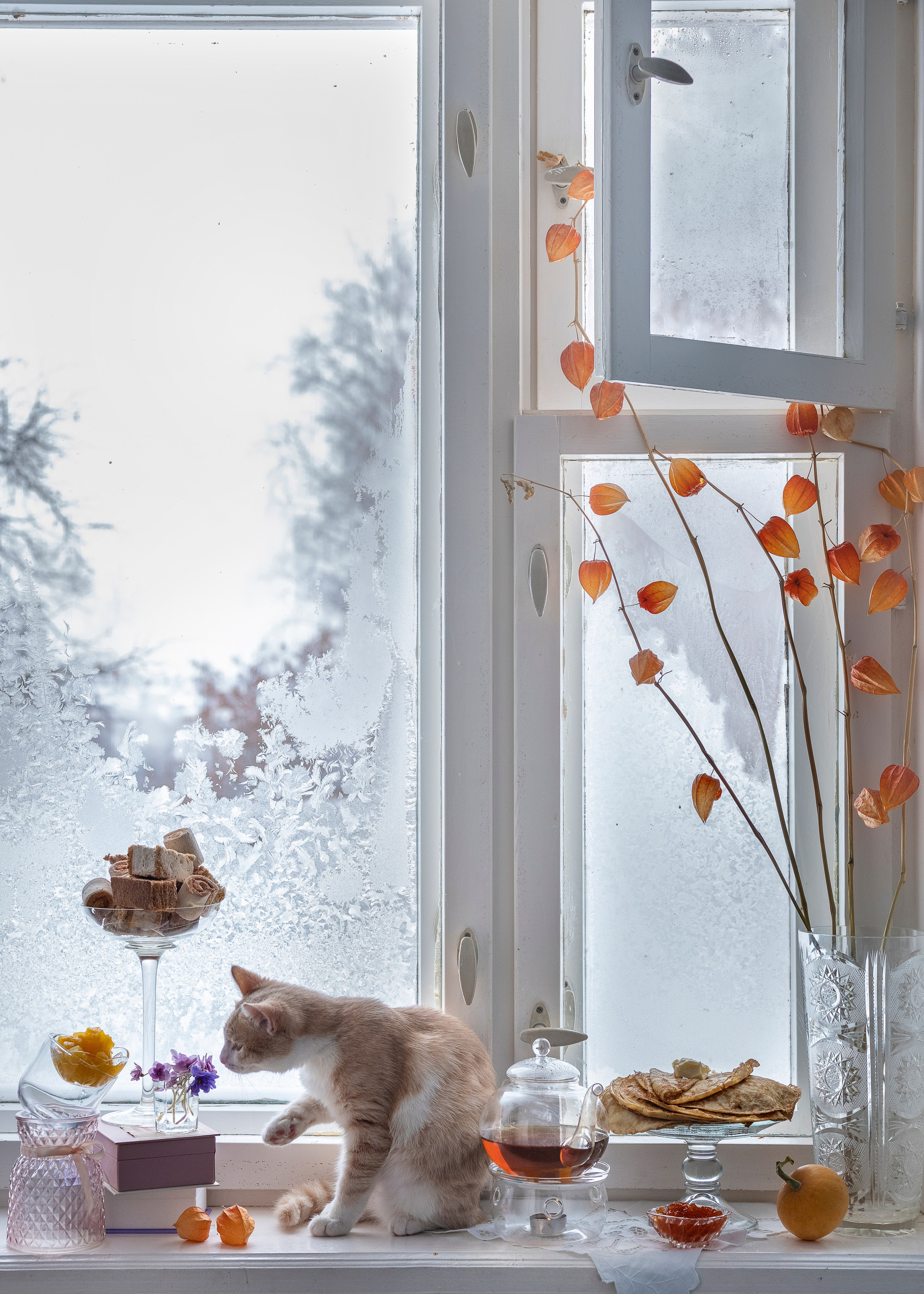 Окно в Коломну. Елена Аносова — художница и исследовательница, куратор и лектор