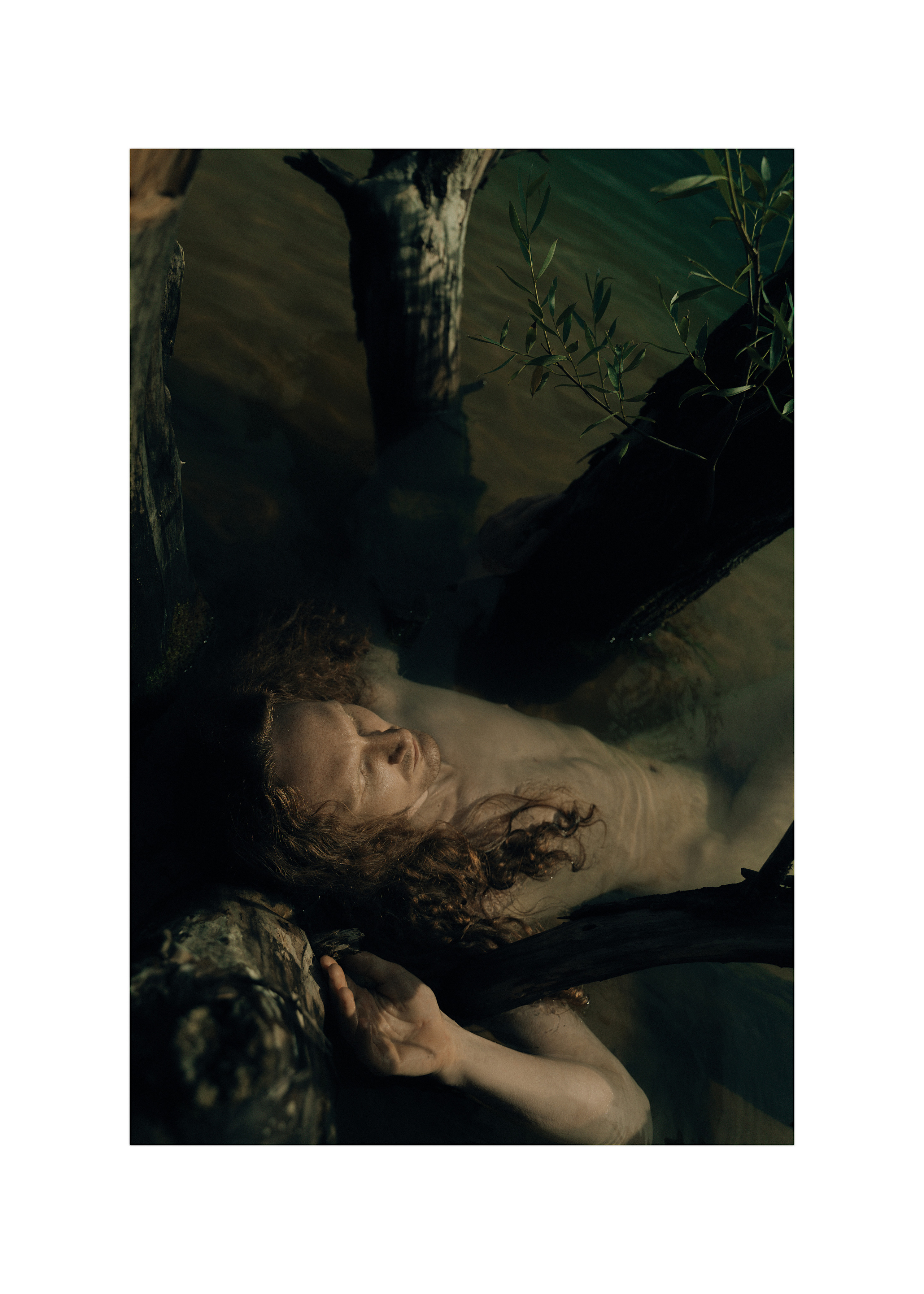 Алиса Аницкая. Алиса Аницкая