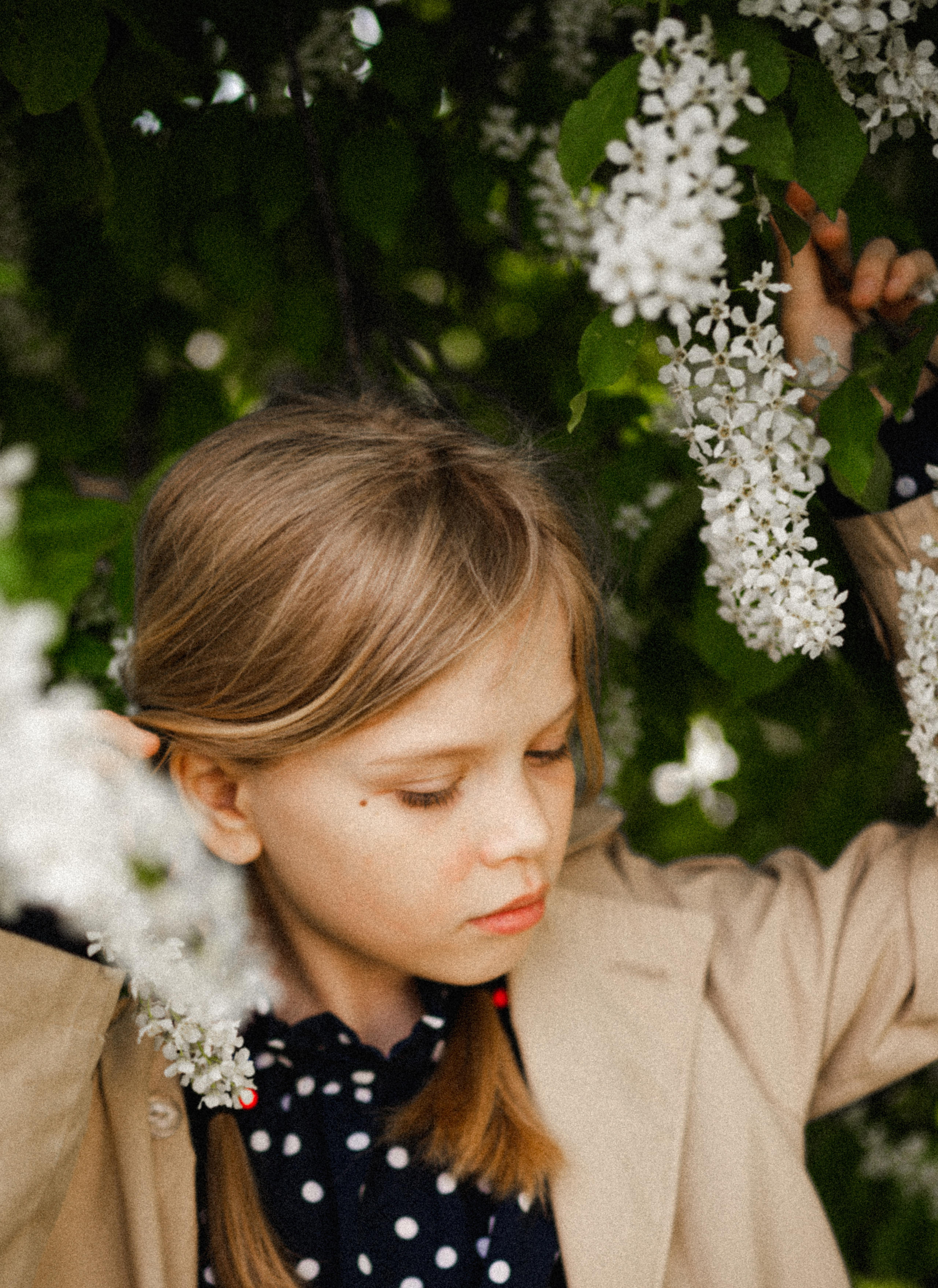 Polaroid preset's. Семейный Фотограф Новосибирск, Школьные фотосессии Новосибирск, школьный фотограф Новосибирск, выпускные альбомы