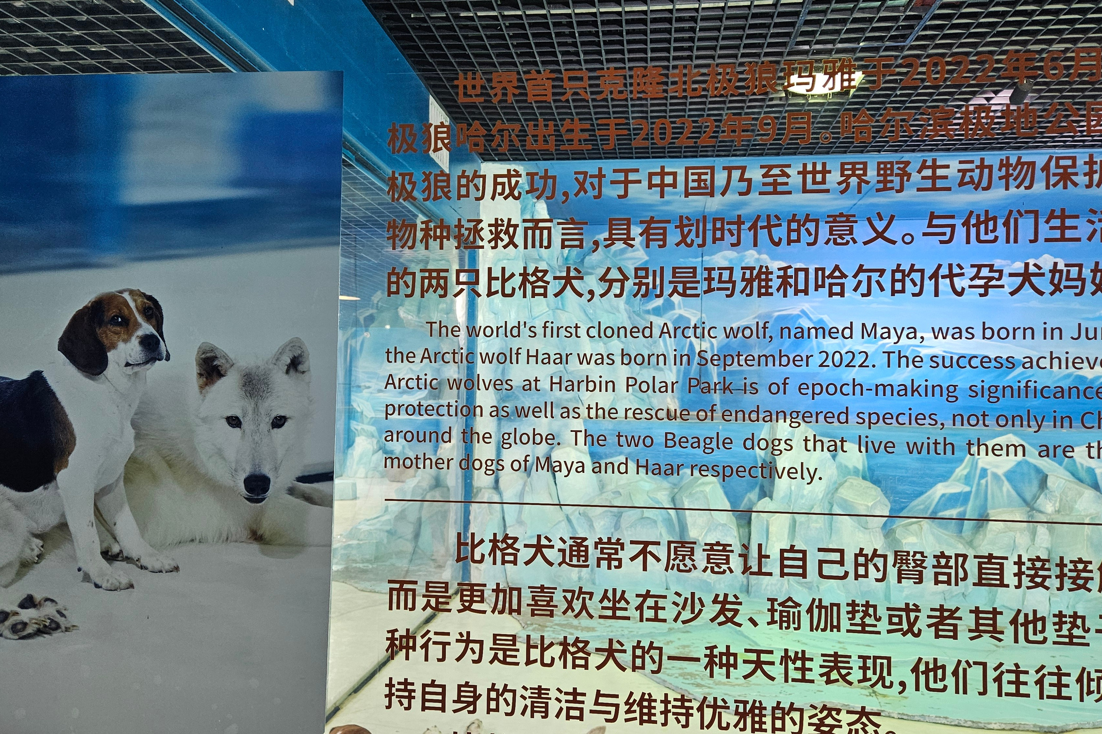 Китай. Июль 2025