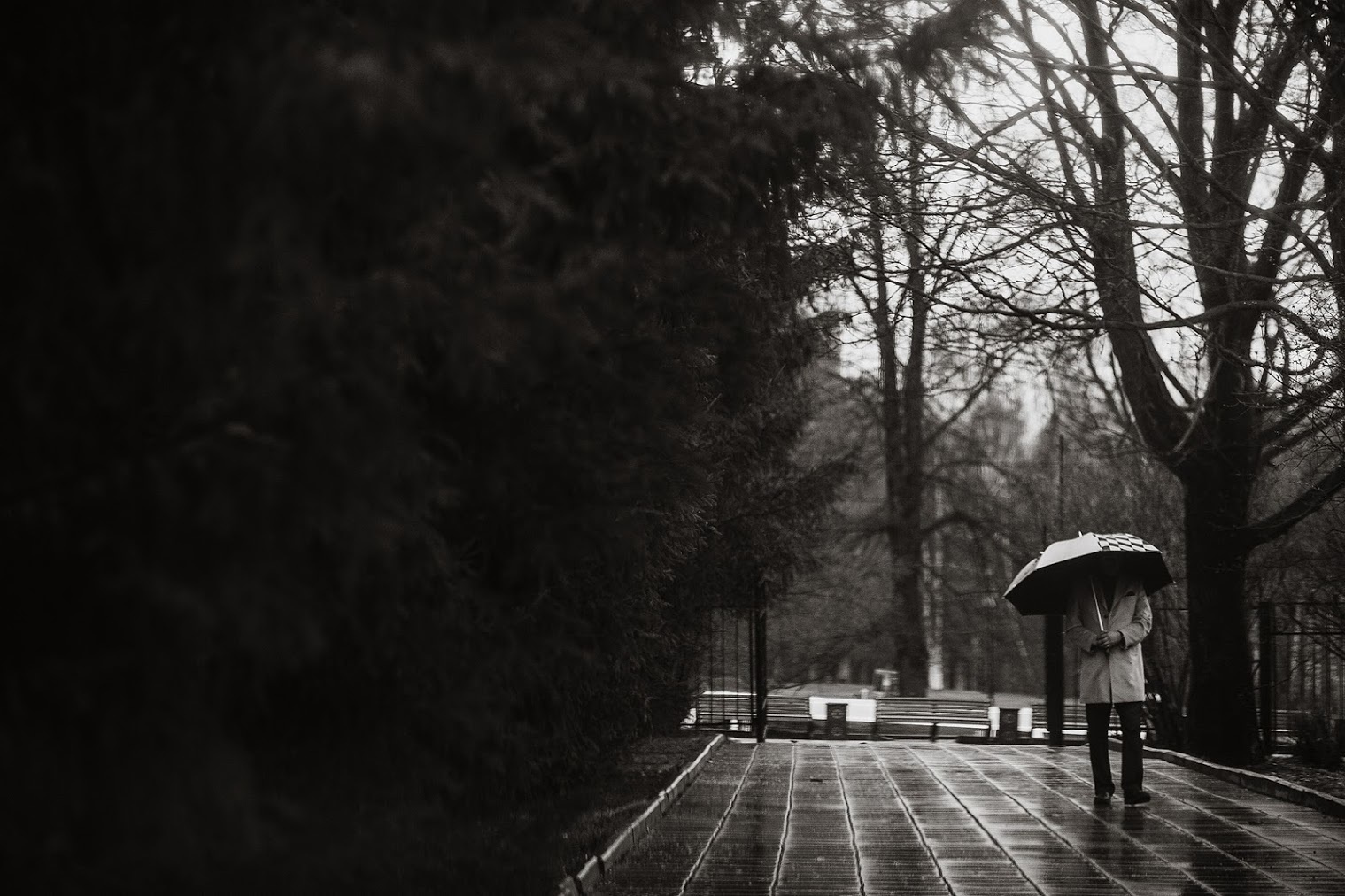 Марта и Антон. 28 апреля 2017. Анонс. Фотограф Игорь Цаплин