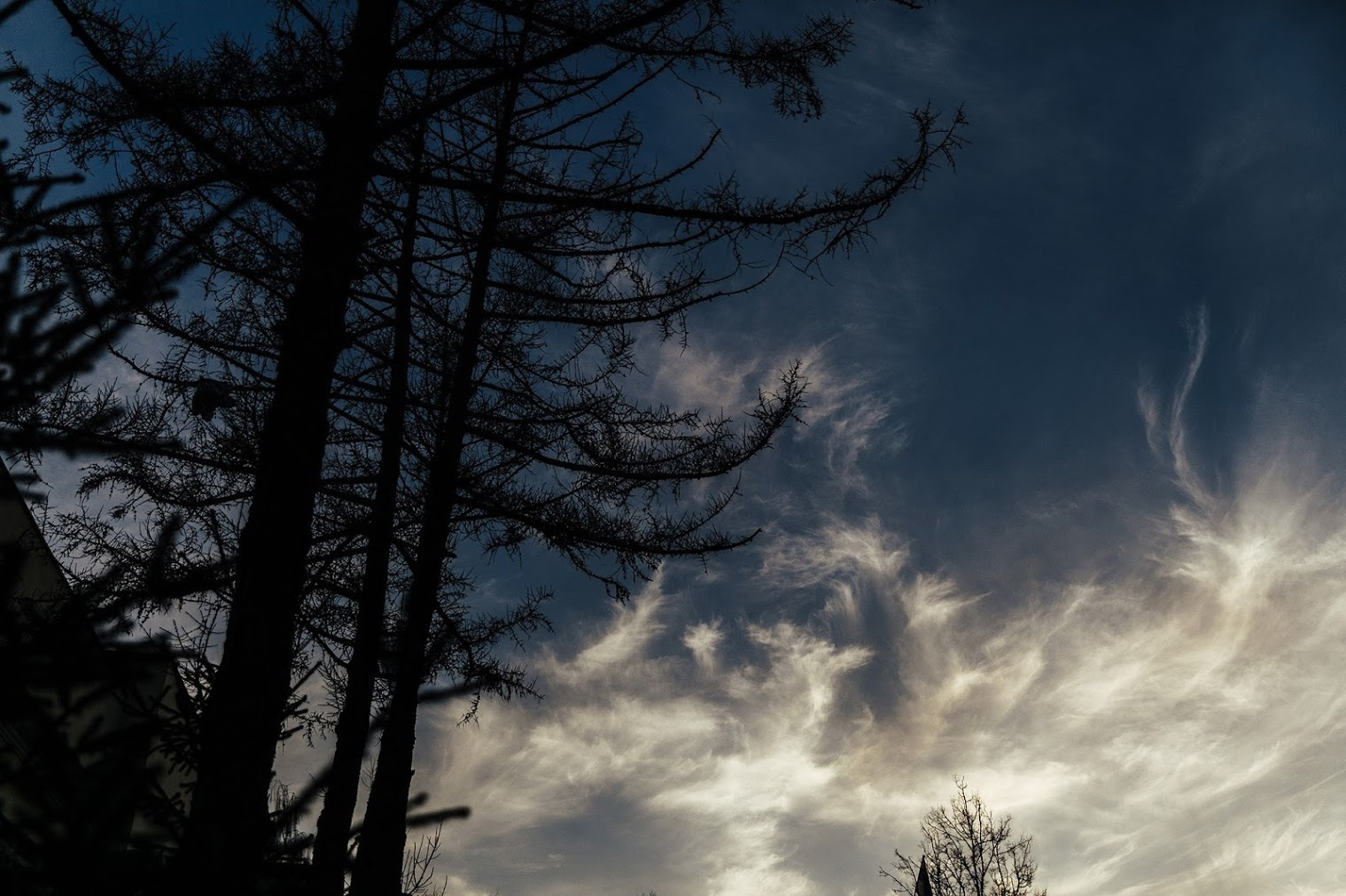 Никита и Настя. 29 апреля 2017. Анонс. Фотограф Игорь Цаплин