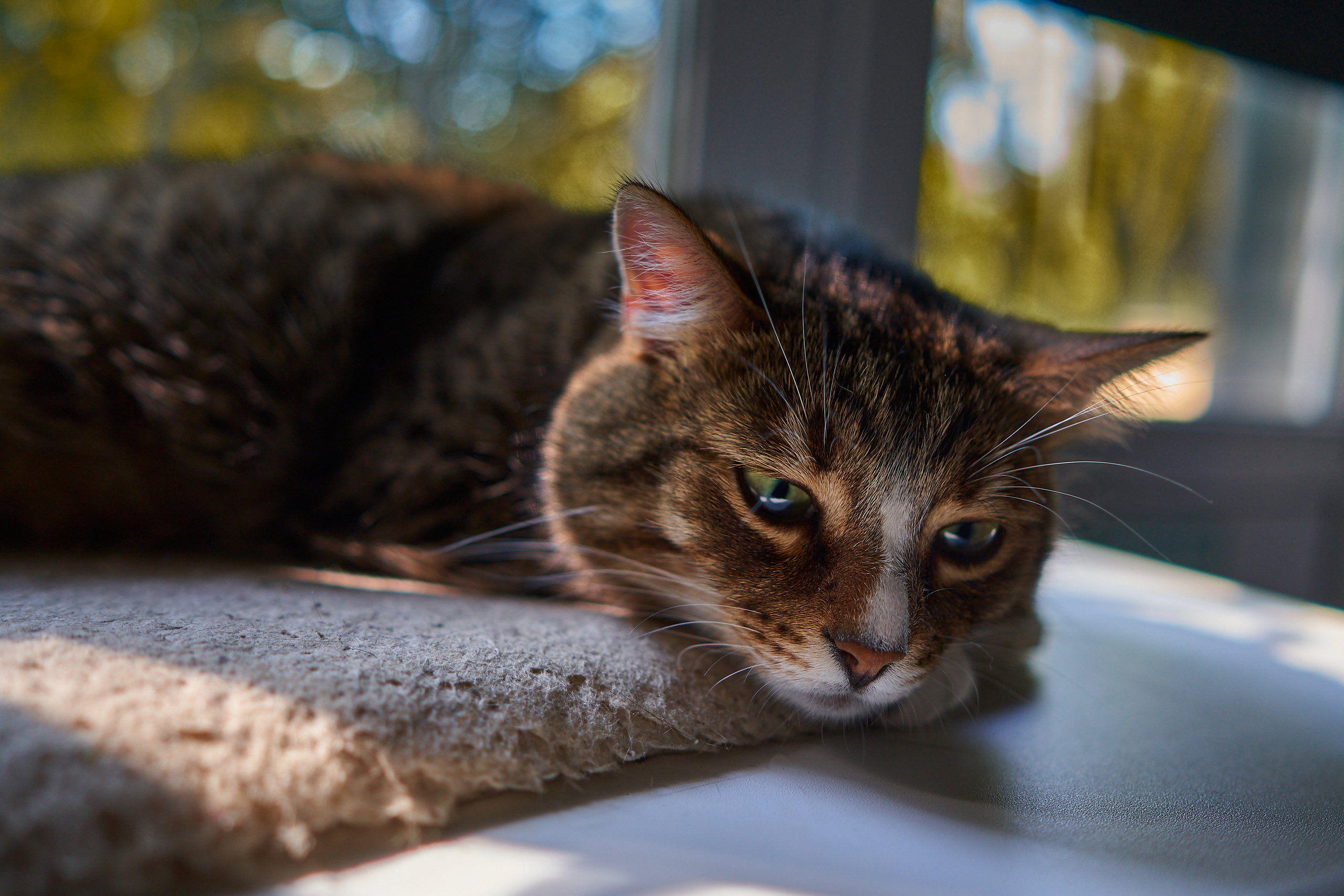 Услуги. Портретный фотограф в Москве Ланин Сергей