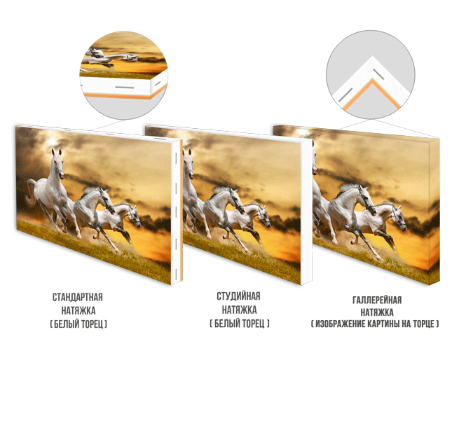 Печать. Семейный и детский фотограф в Туапсинском районе Кузьмичёва Светлана