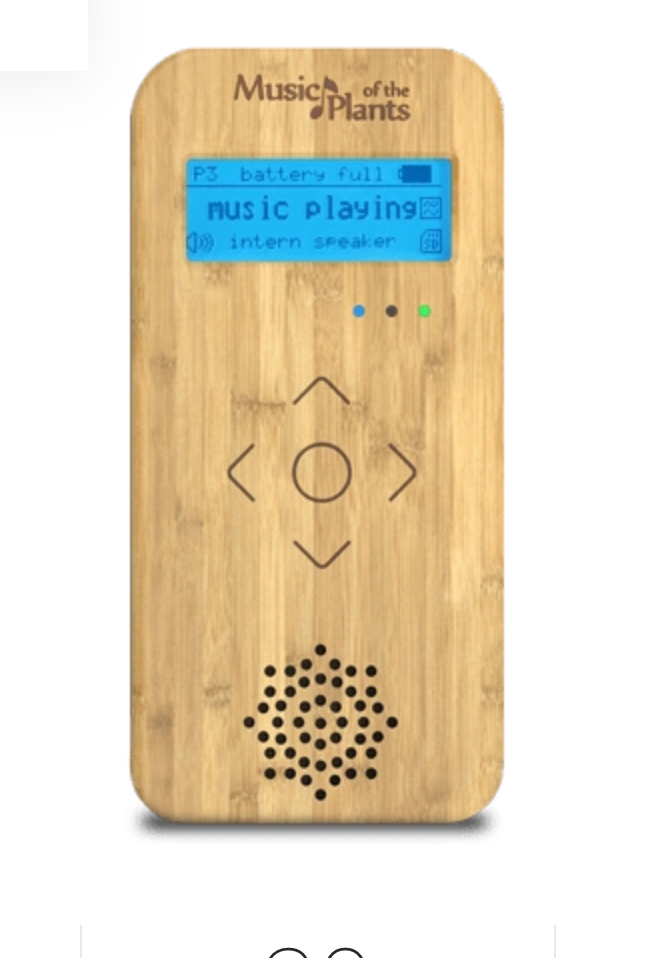 Территория экофермы Марии Гиппенрейтер. Эко отель Подмосковье. Эко отдых в Подмосковье в эко-отеле Марии Гиппенрейтер