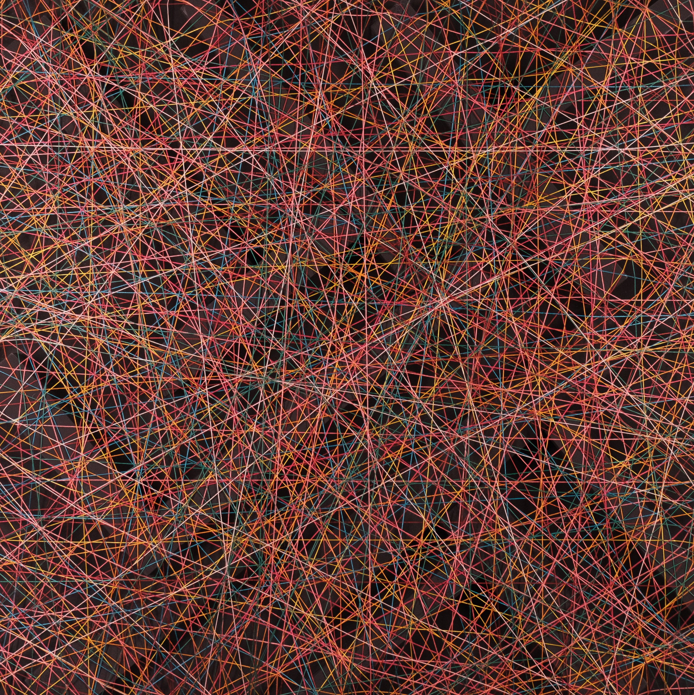 КАРТИНЫ. ANNSENSUS