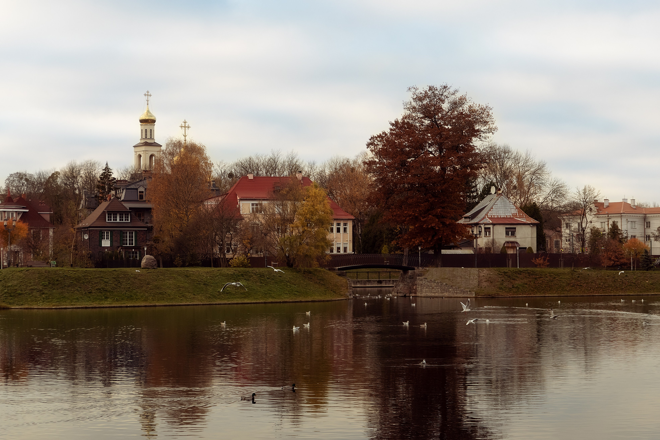 Поздняя осень в Калининграде. Семейный фотограф в Калининграде Надежда Гриднева