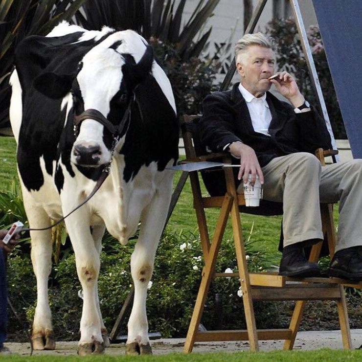 Homo Business. Текстура — арт-проект из Москвы: вещи со смыслом, мерч, одежда и подарки для людей и брендов