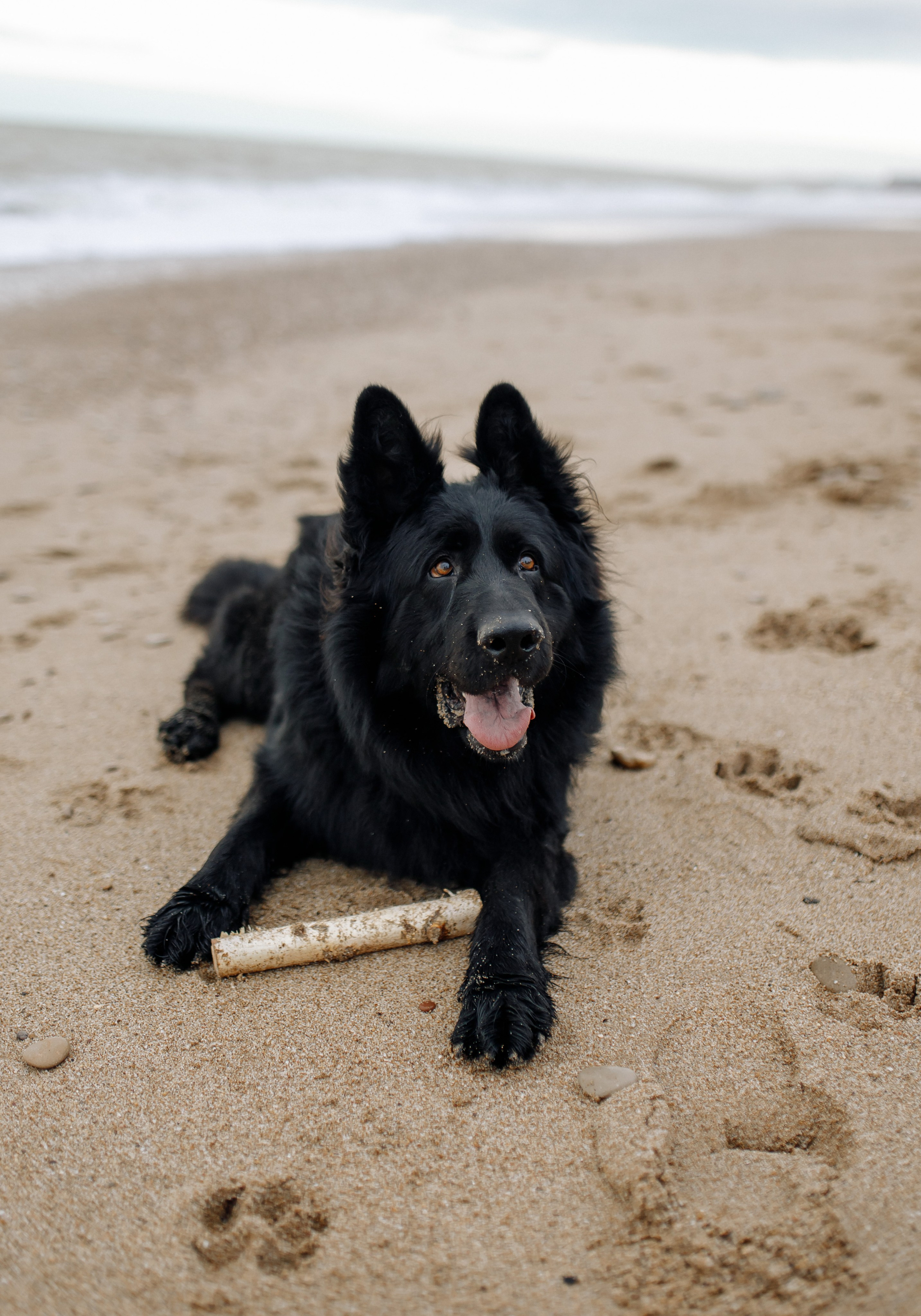 Съемка на зимнем пляже. Свадебный фотограф в Севастополе и Крыму| Tanya Sher