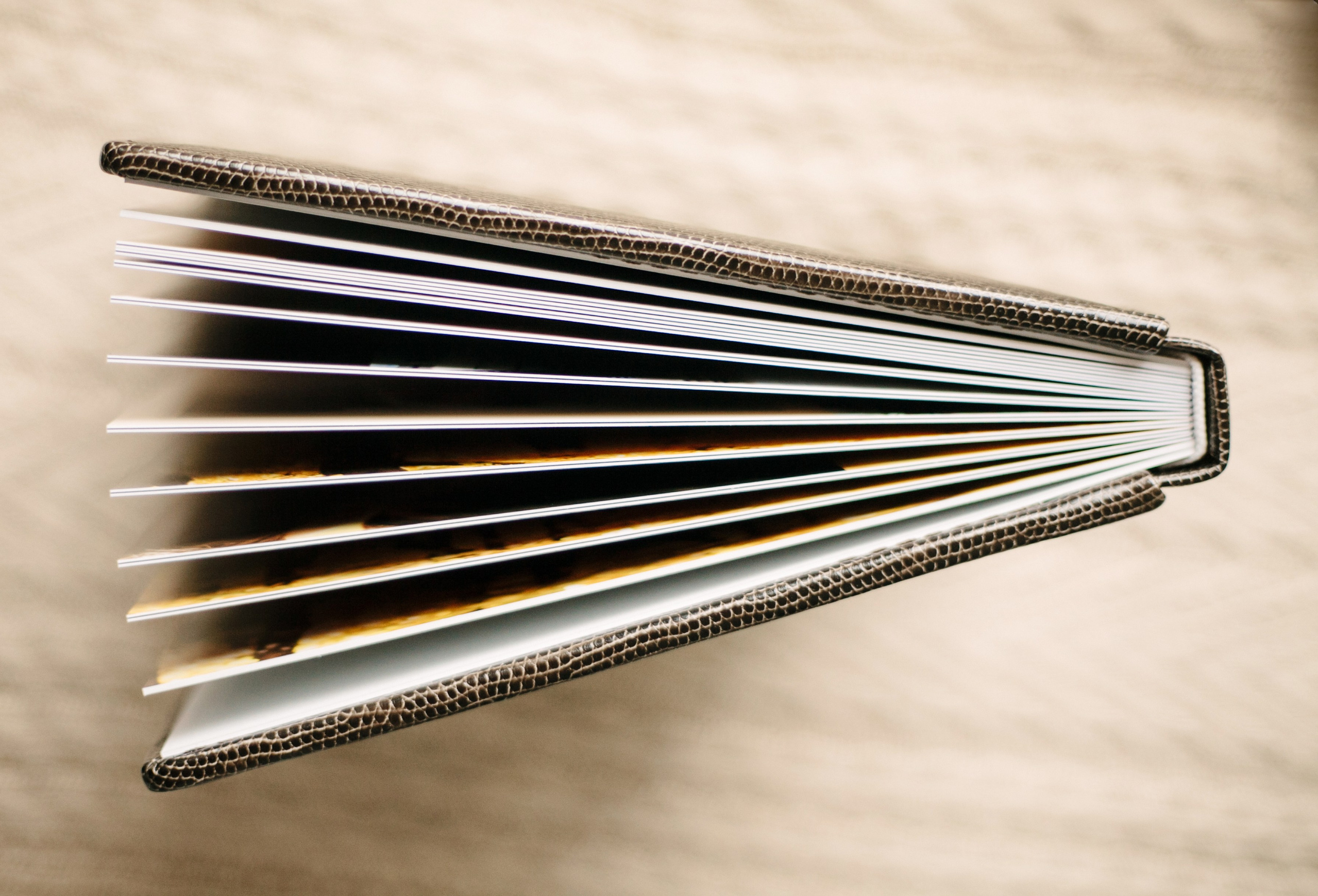 О Фотокнигах. Фотограф Нелля Кадикина