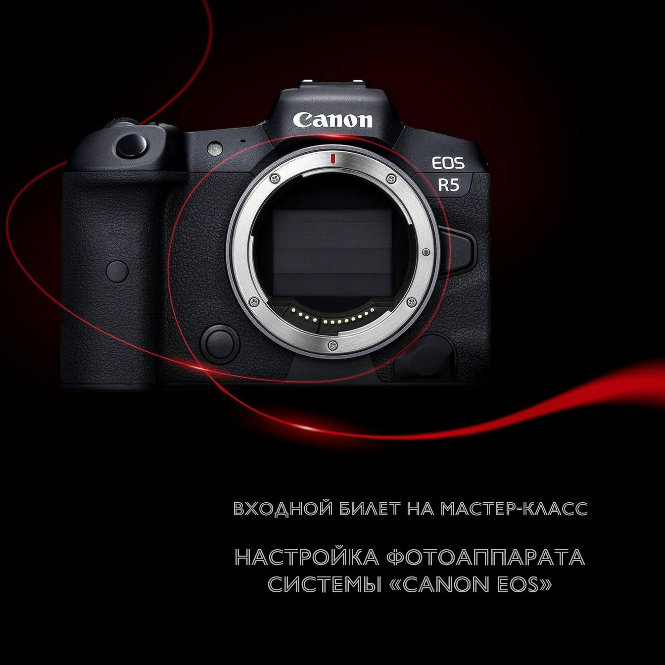 Входной билет на мастер-класс по теме: «Настройка фотоаппарата системы Canon EOS»