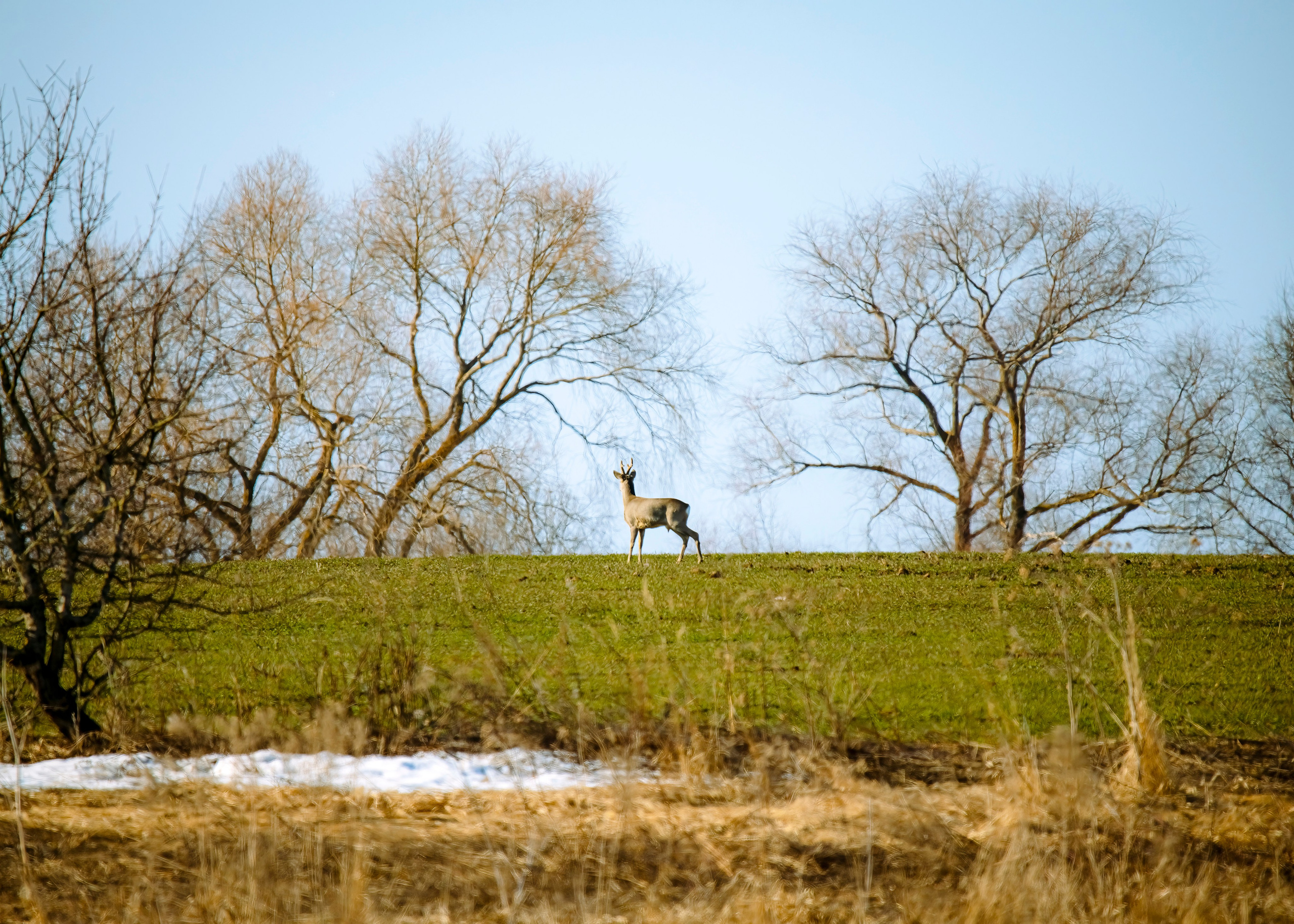 Фотоохота. Фотографии Лены Соколовой