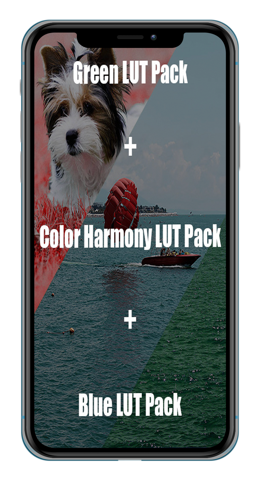 SHOP. MAKSIM KALASHNIKOV