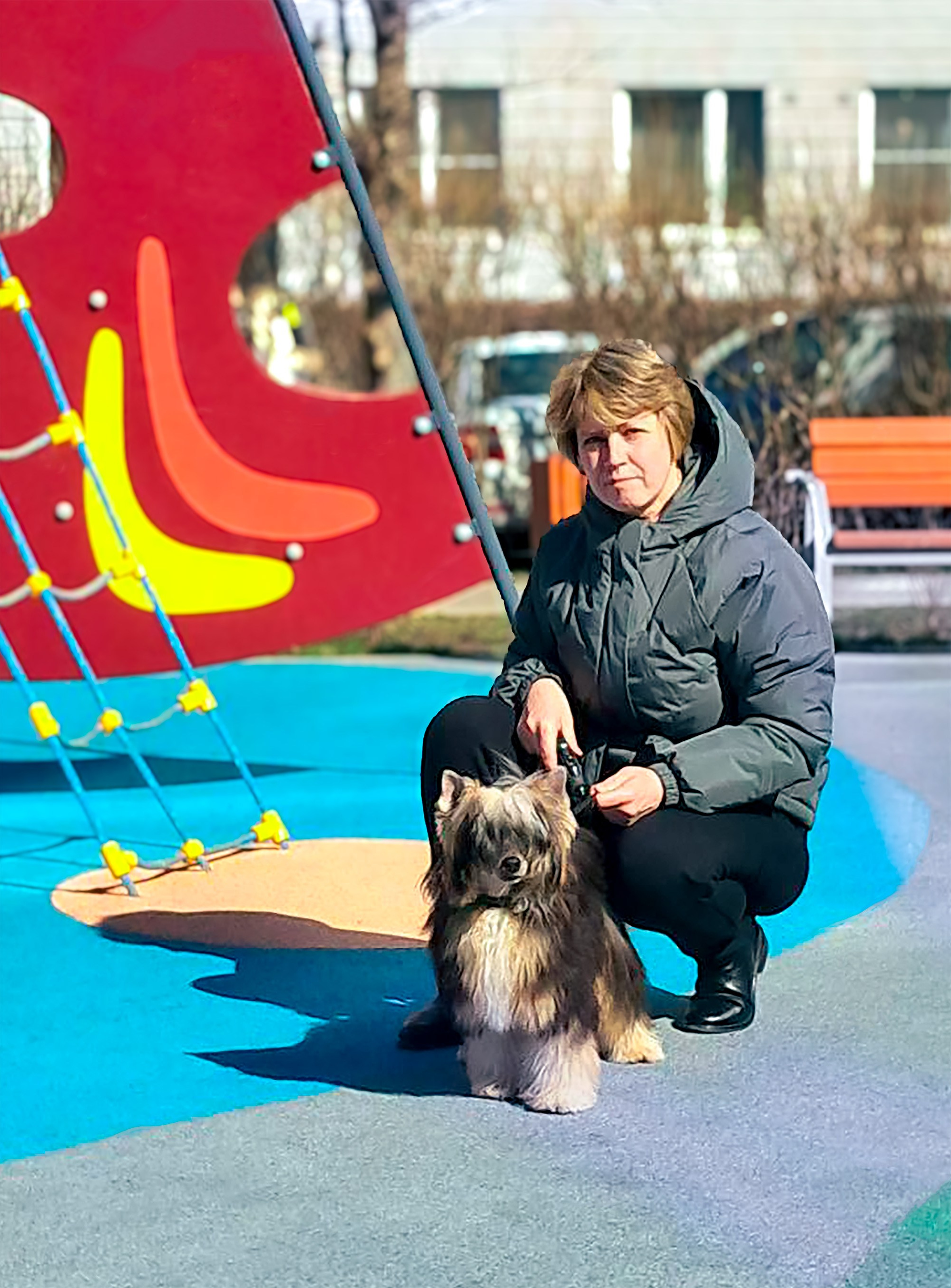 Феликс — лучший щенок выставки! Наши поздравления. Питомник китайских хохлатых собак Poale Ell: купить щенка в питомнике