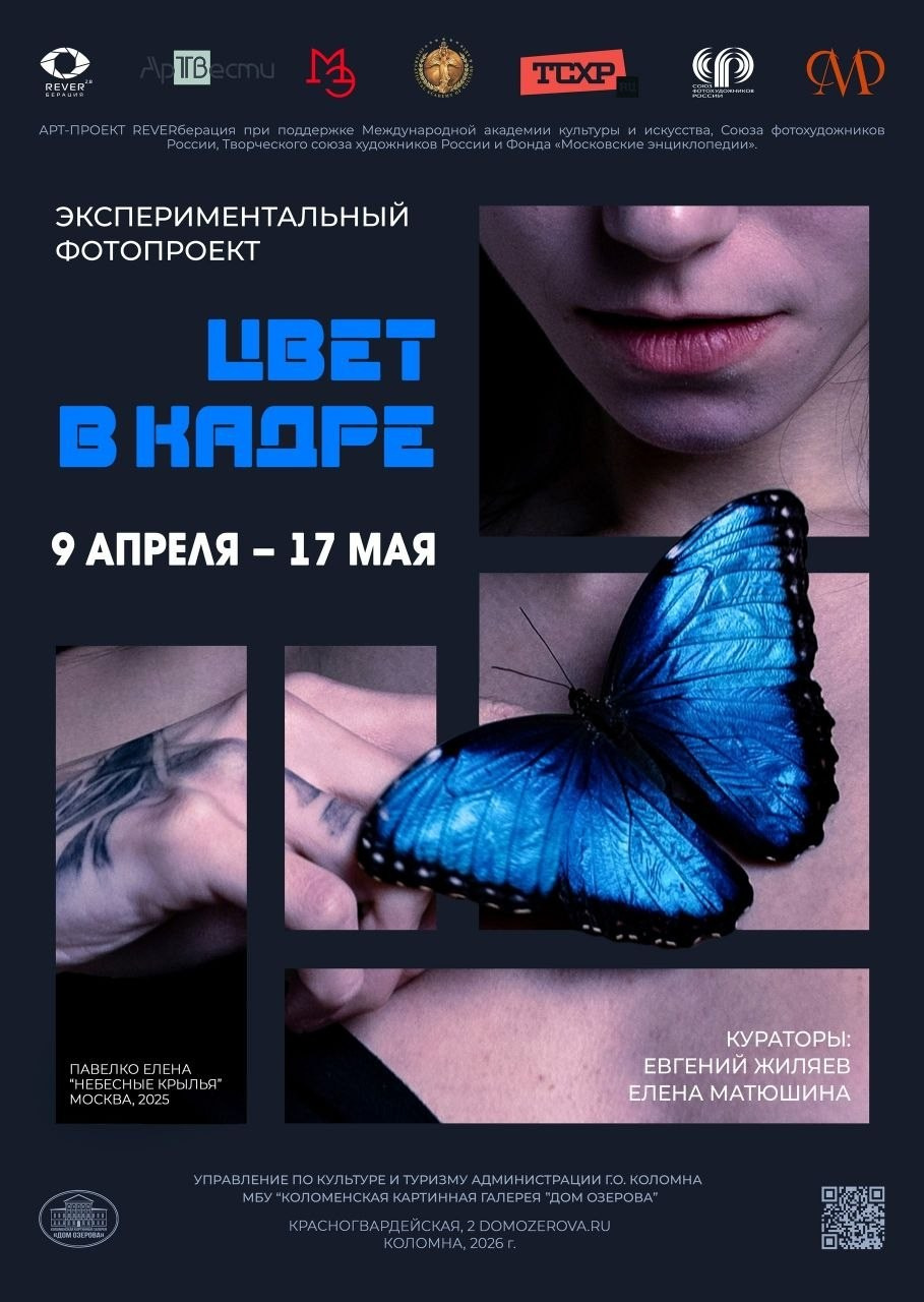 Выставка цвет в кадре в Коломенской картинной галерее «Дом Озерова». Дударева Наталия фотограф Москва