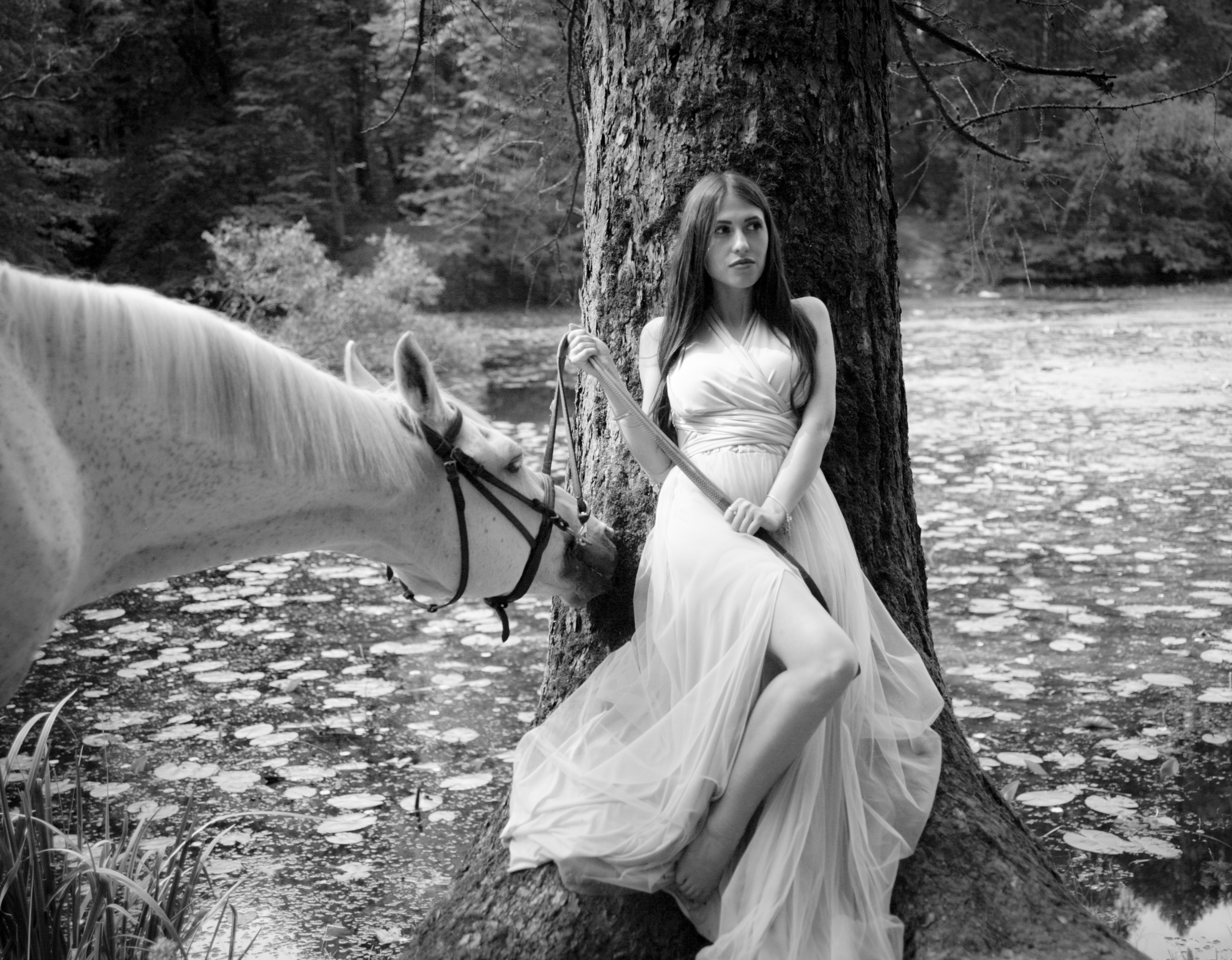 Фотограф с лошадьми в Москве