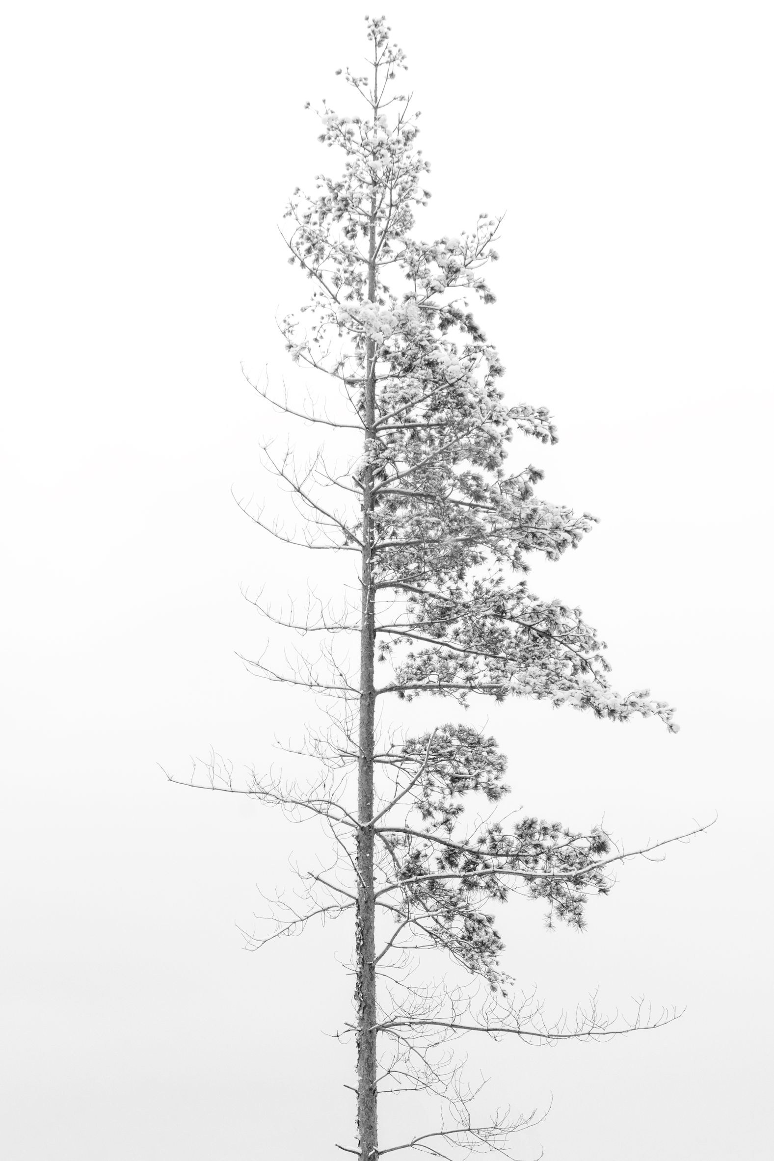 Мялик Глеб. ARTEXPOPHOTO