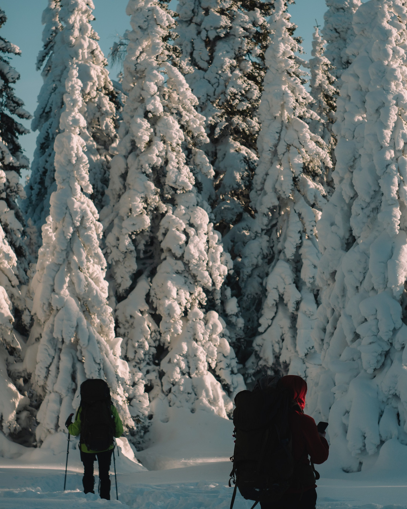 Прайс-лист на услуги. Пленочный фотограф в Москве | Necultured