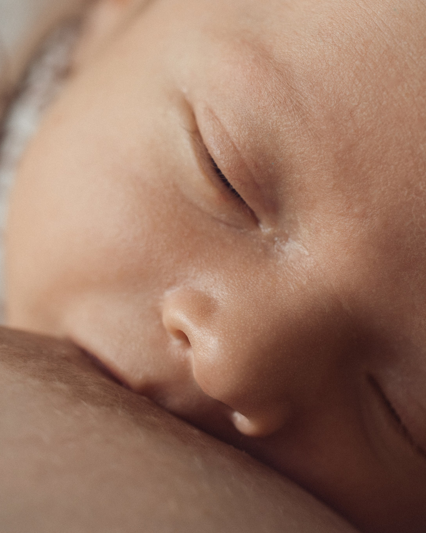Услуги. Фотограф новорожденных в Москве, Зеленограде, МО, Дмитриева Дарья