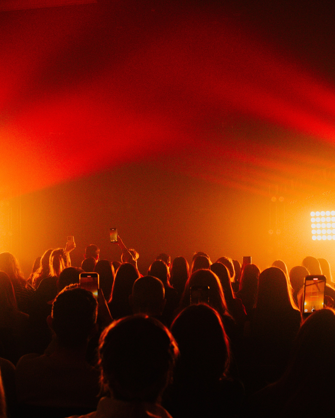 Прайс-лист. Фотограф Настя Булочка Екатеринубрг