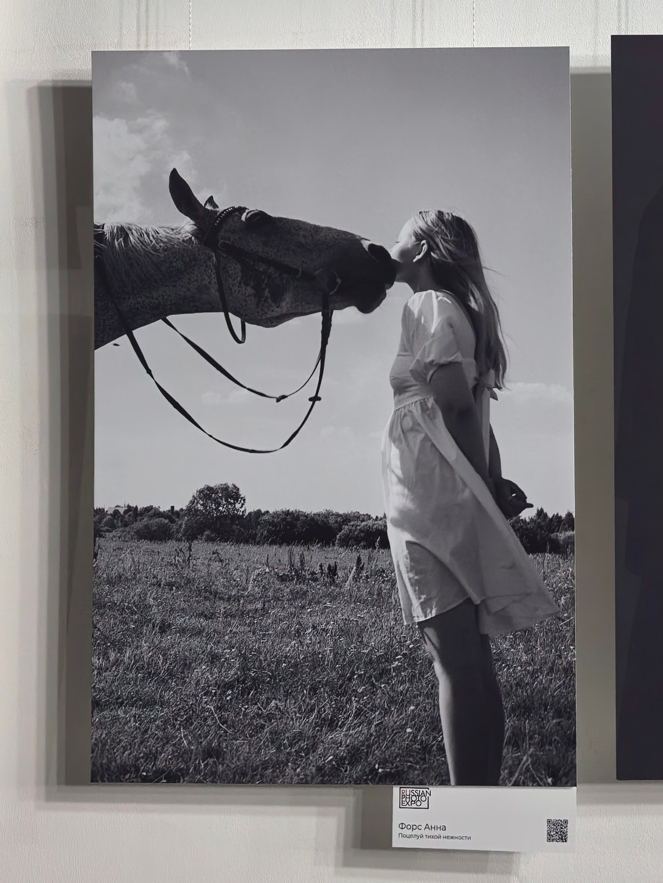 Artwork by Anna Fors showcased during art exhibitions at GUM, Red Square, Moscow.