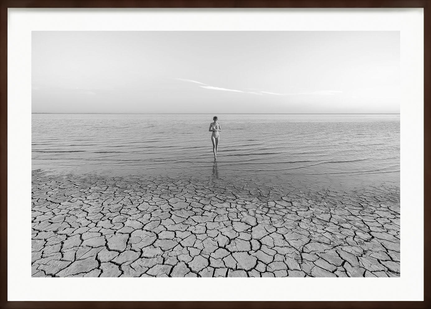 Авторские картины — Каталог