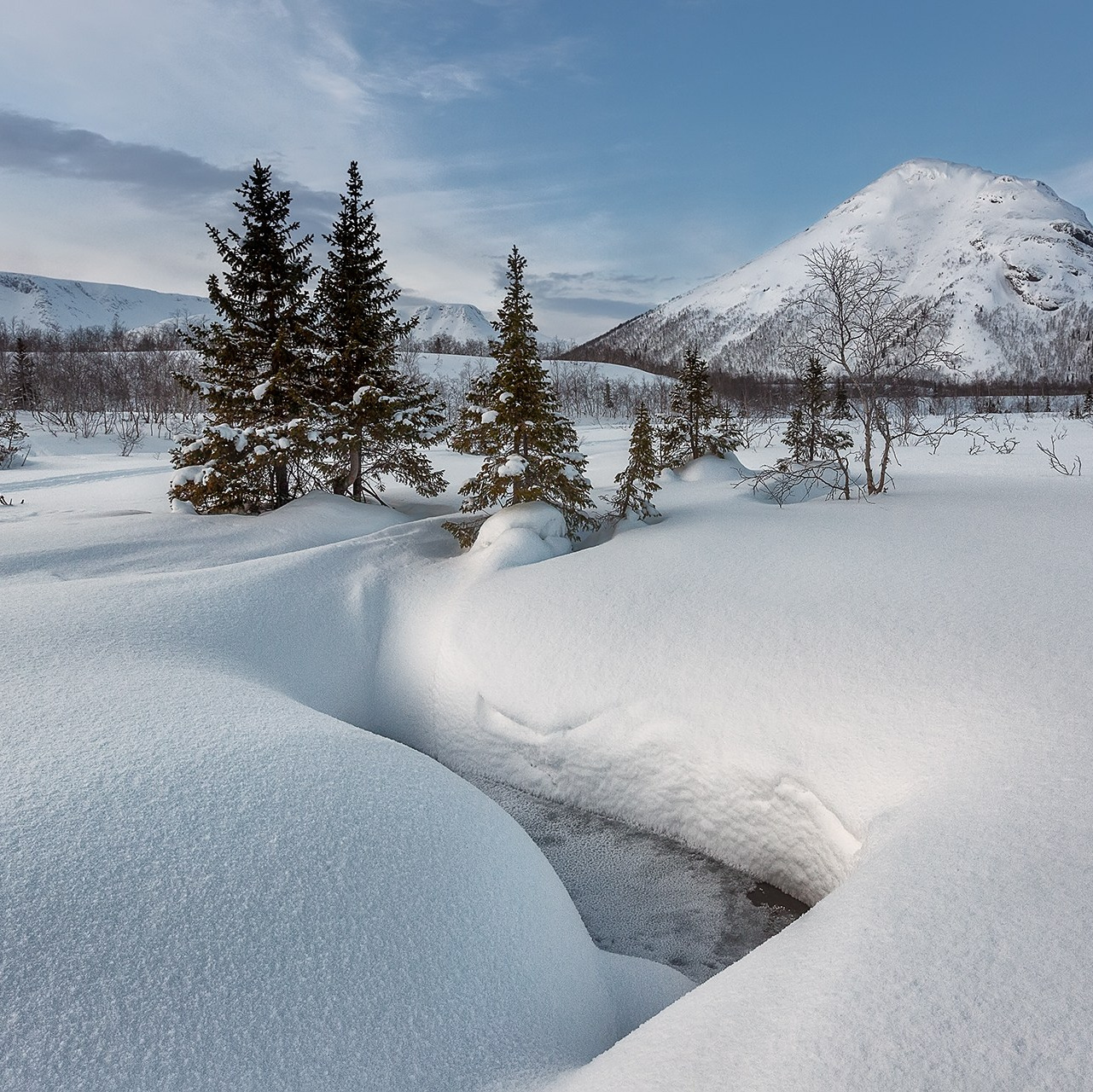 КОЛЬСКИЙ ПОЛУОСТРОВ ФЕВРАЛЬ 2025. Фототуры и обучение пейзажной фотографии