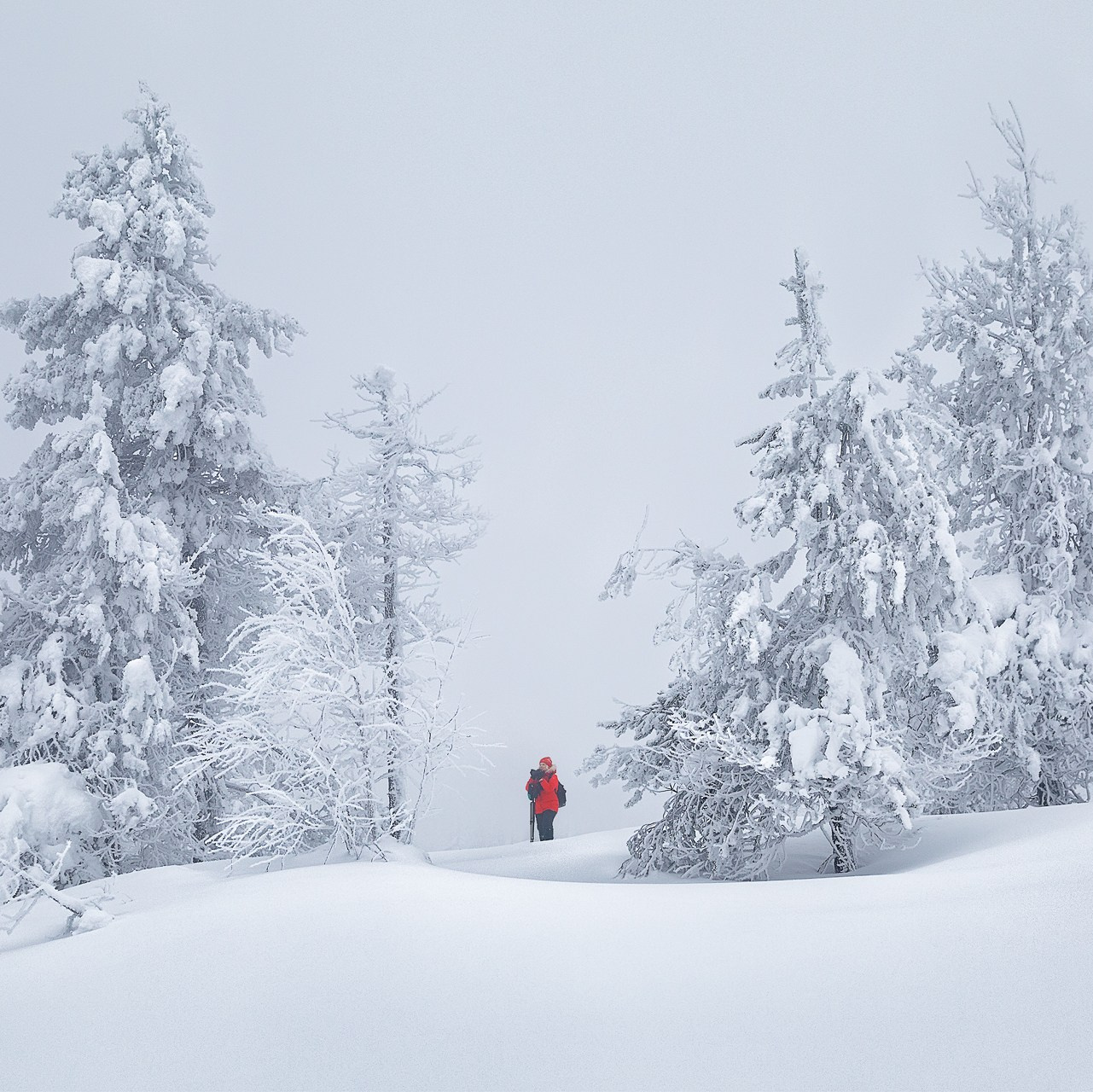 КОЛЬСКИЙ ПОЛУОСТРОВ ФЕВРАЛЬ 2025. Фототуры и обучение пейзажной фотографии