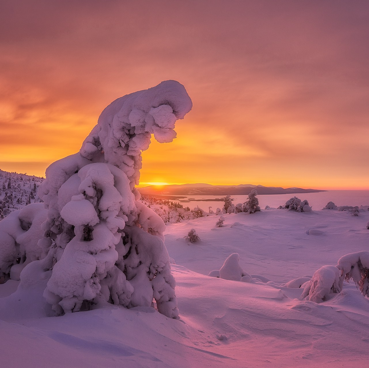 КОЛЬСКИЙ ПОЛУОСТРОВ ФЕВРАЛЬ 2025. Фототуры и обучение пейзажной фотографии