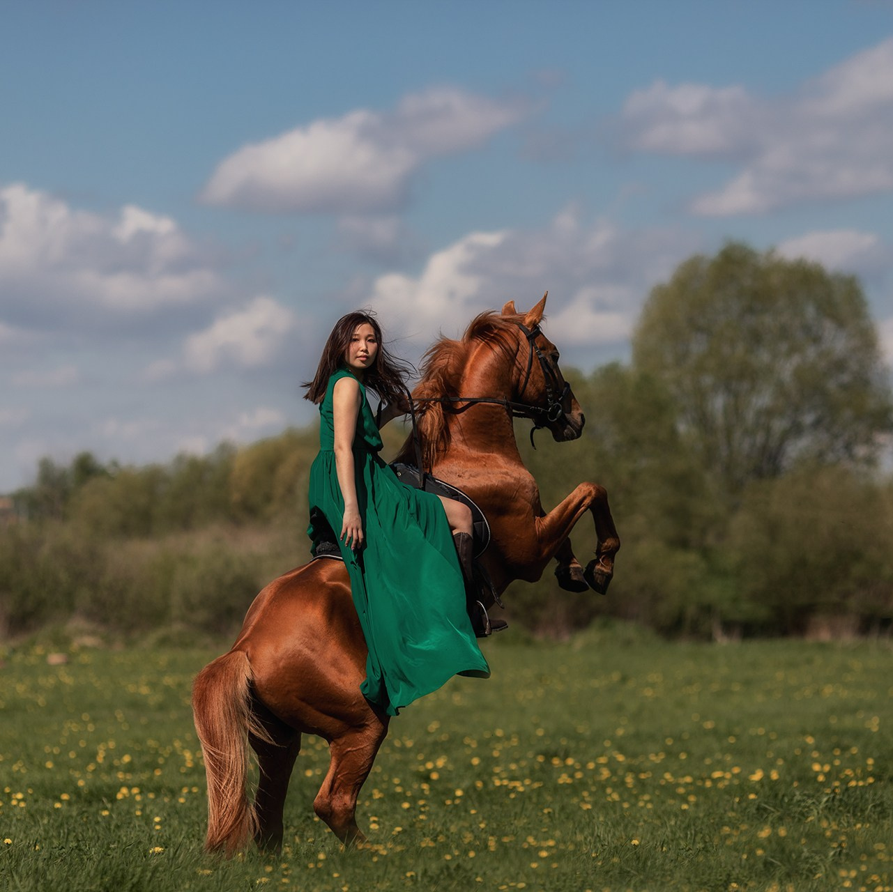 Стоимость фотосессии на лошадях в Москве и Московской области. Фотосессии с лошадьми в Москве от фотографа Кутейниковой Светланы