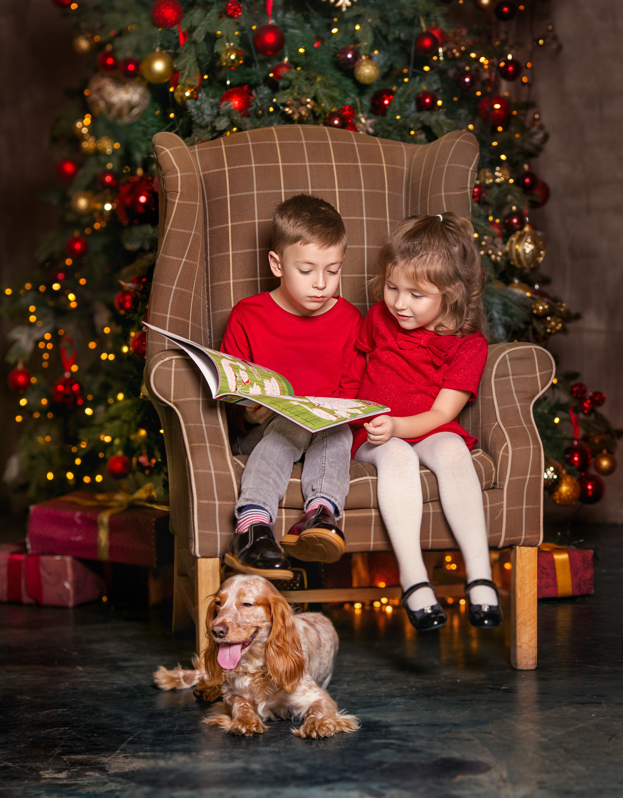 Фотосессия в студии. Детский и семейный фотограф Александра Грекова