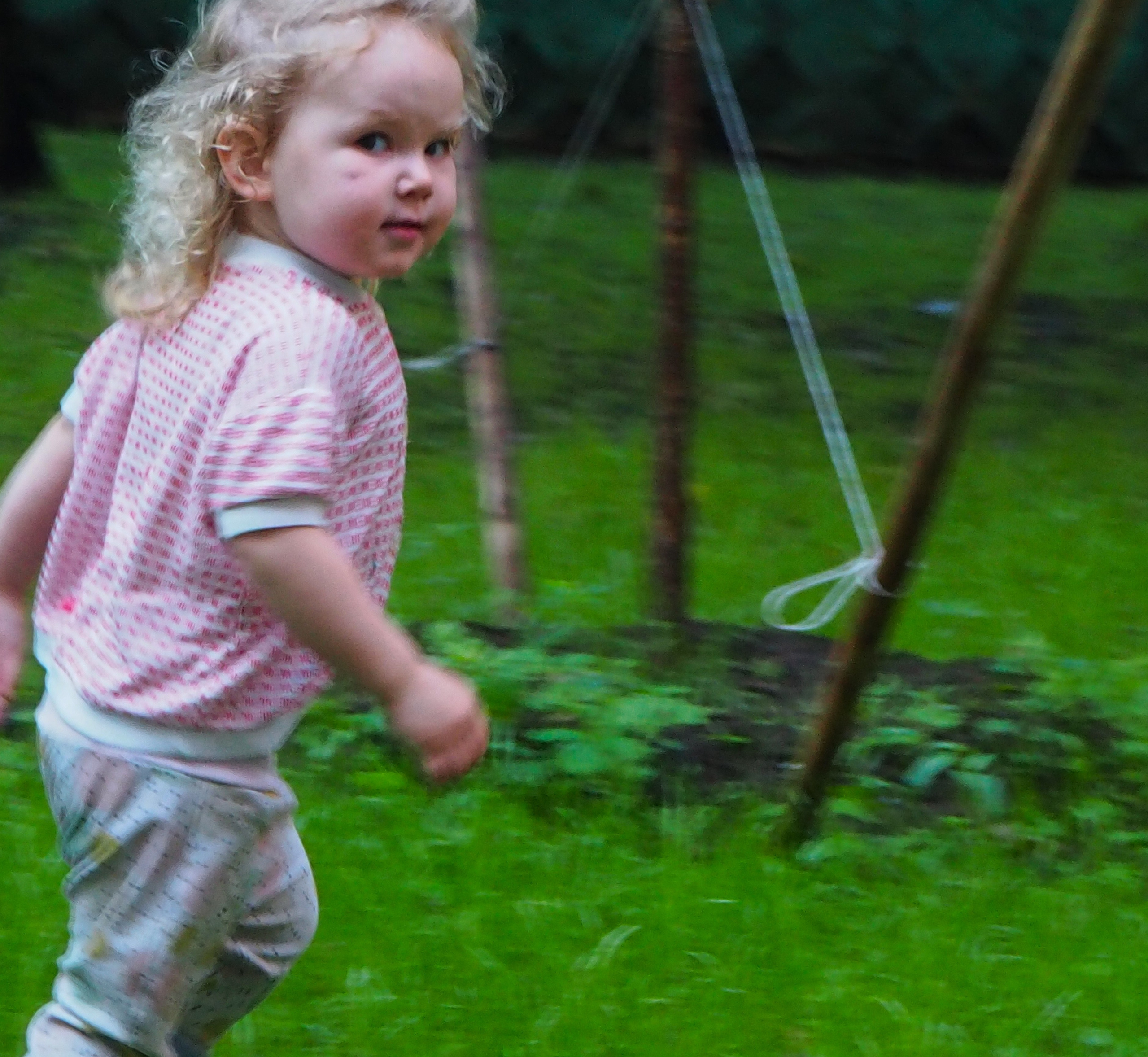 Услуги. СПБНЛО