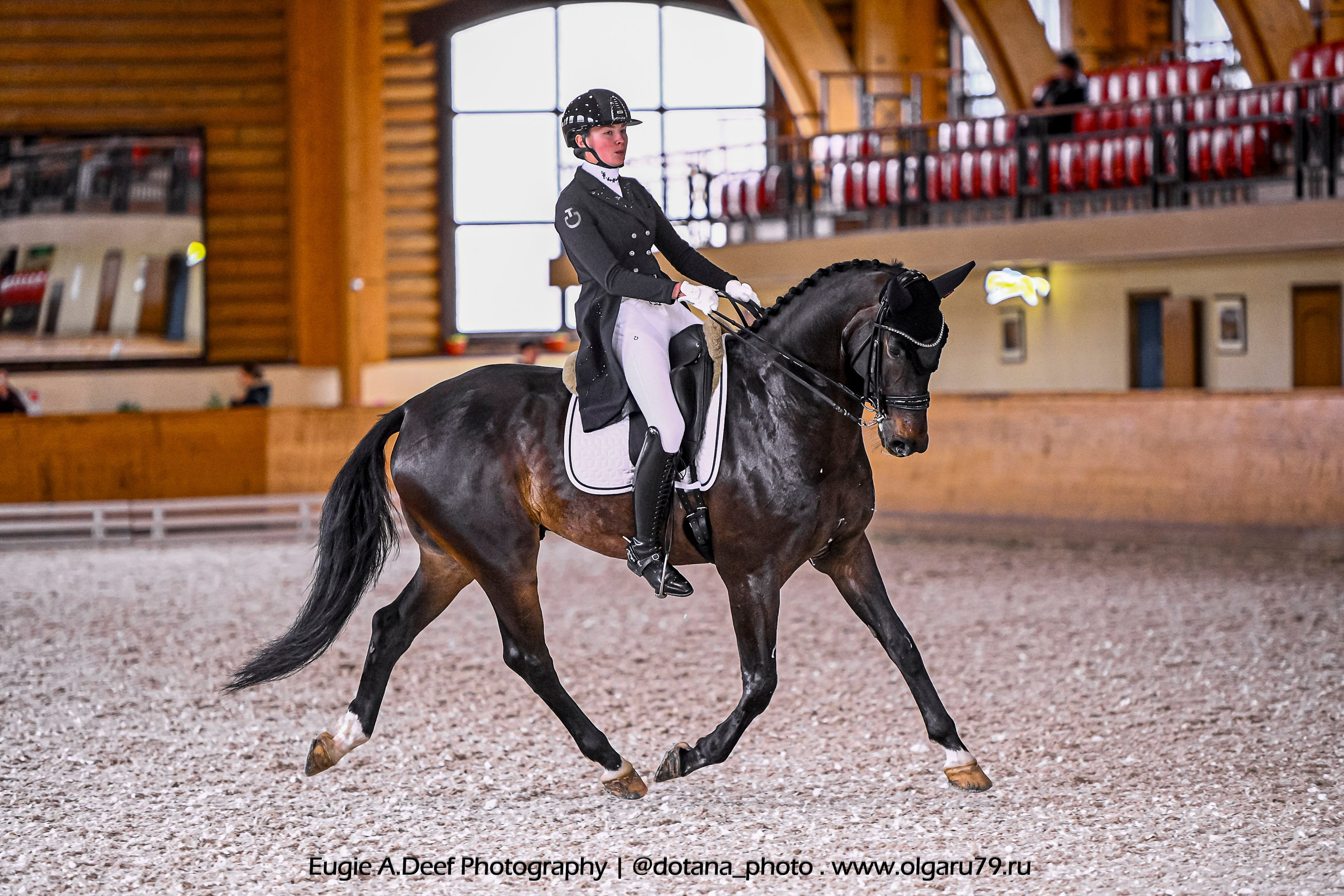 2025.10.18 — КСК Пегас — выездка. ТУРНИРНАЯ КОННАЯ ФОТОГРАФИЯ, Руднева Ольга и Евгений Адеев