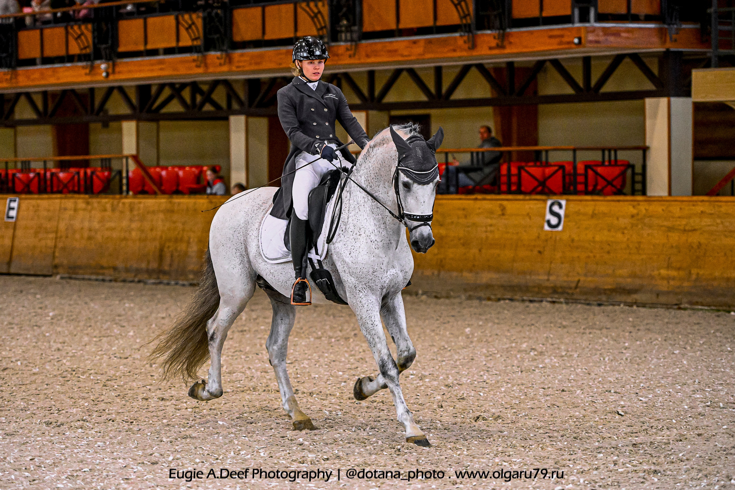 2025.10.18 — КСК Пегас — выездка. ТУРНИРНАЯ КОННАЯ ФОТОГРАФИЯ, Руднева Ольга и Евгений Адеев