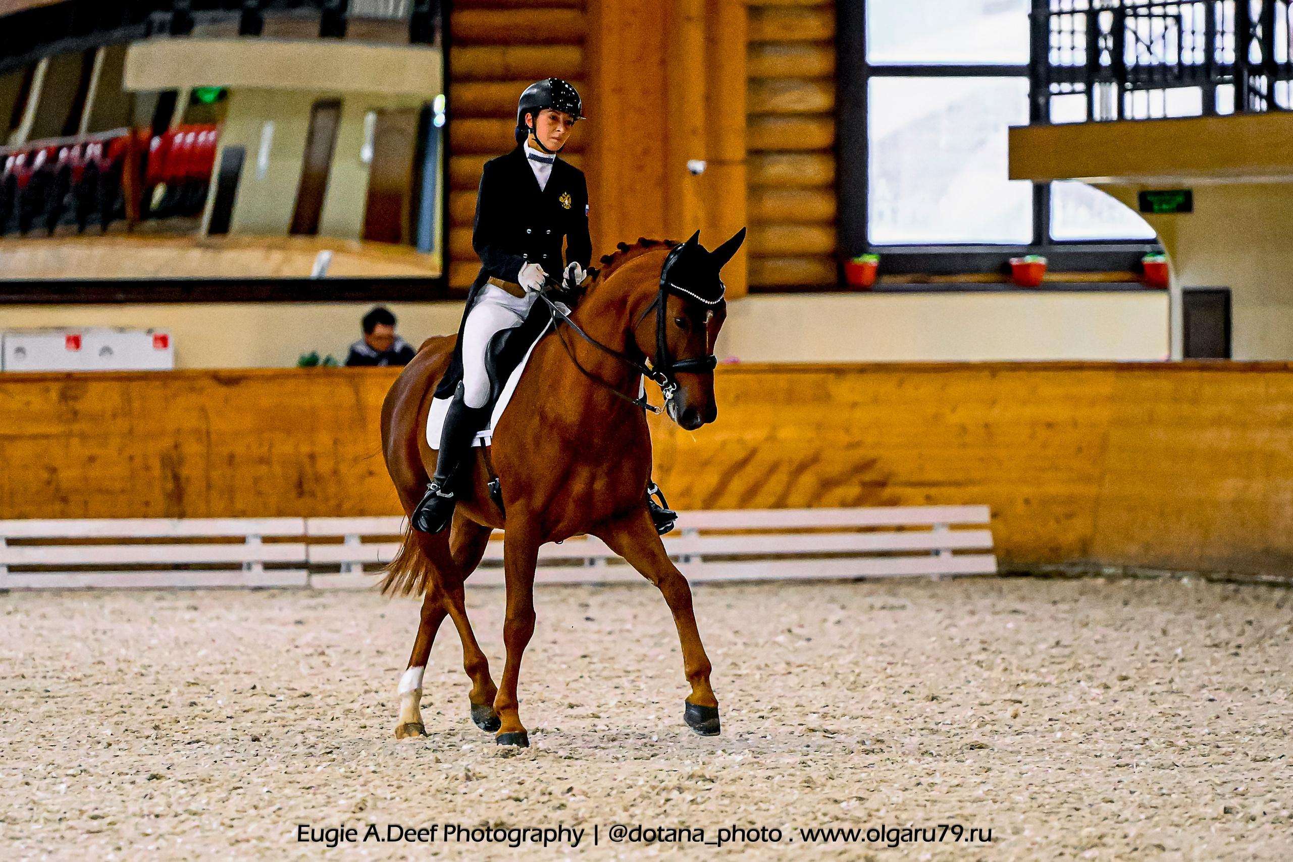2025.10.18 — КСК Пегас — выездка. ТУРНИРНАЯ КОННАЯ ФОТОГРАФИЯ, Руднева Ольга и Евгений Адеев