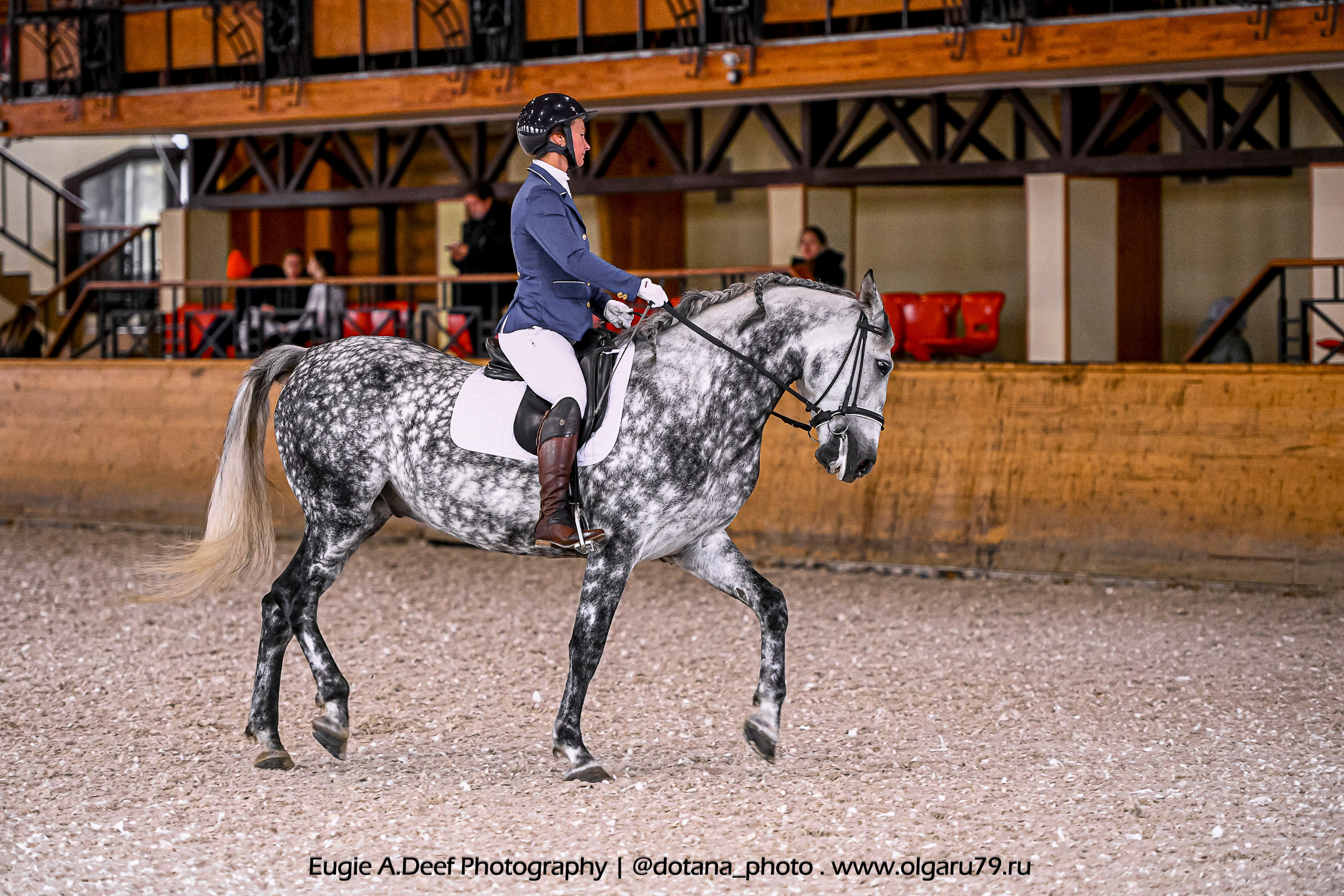 2025.10.18 — КСК Пегас — выездка. ТУРНИРНАЯ КОННАЯ ФОТОГРАФИЯ, Руднева Ольга и Евгений Адеев