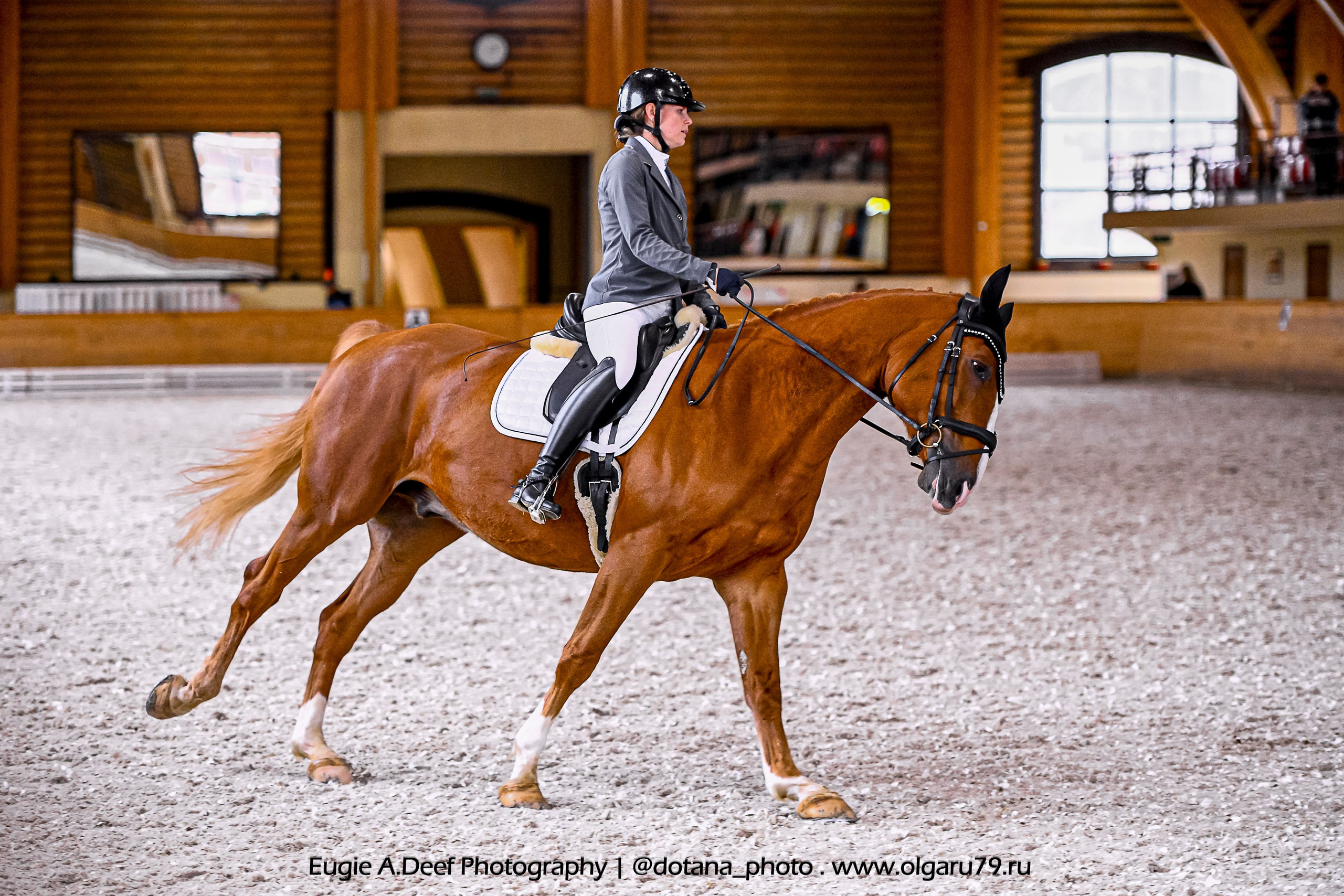 2025.10.18 — КСК Пегас — выездка. ТУРНИРНАЯ КОННАЯ ФОТОГРАФИЯ, Руднева Ольга и Евгений Адеев