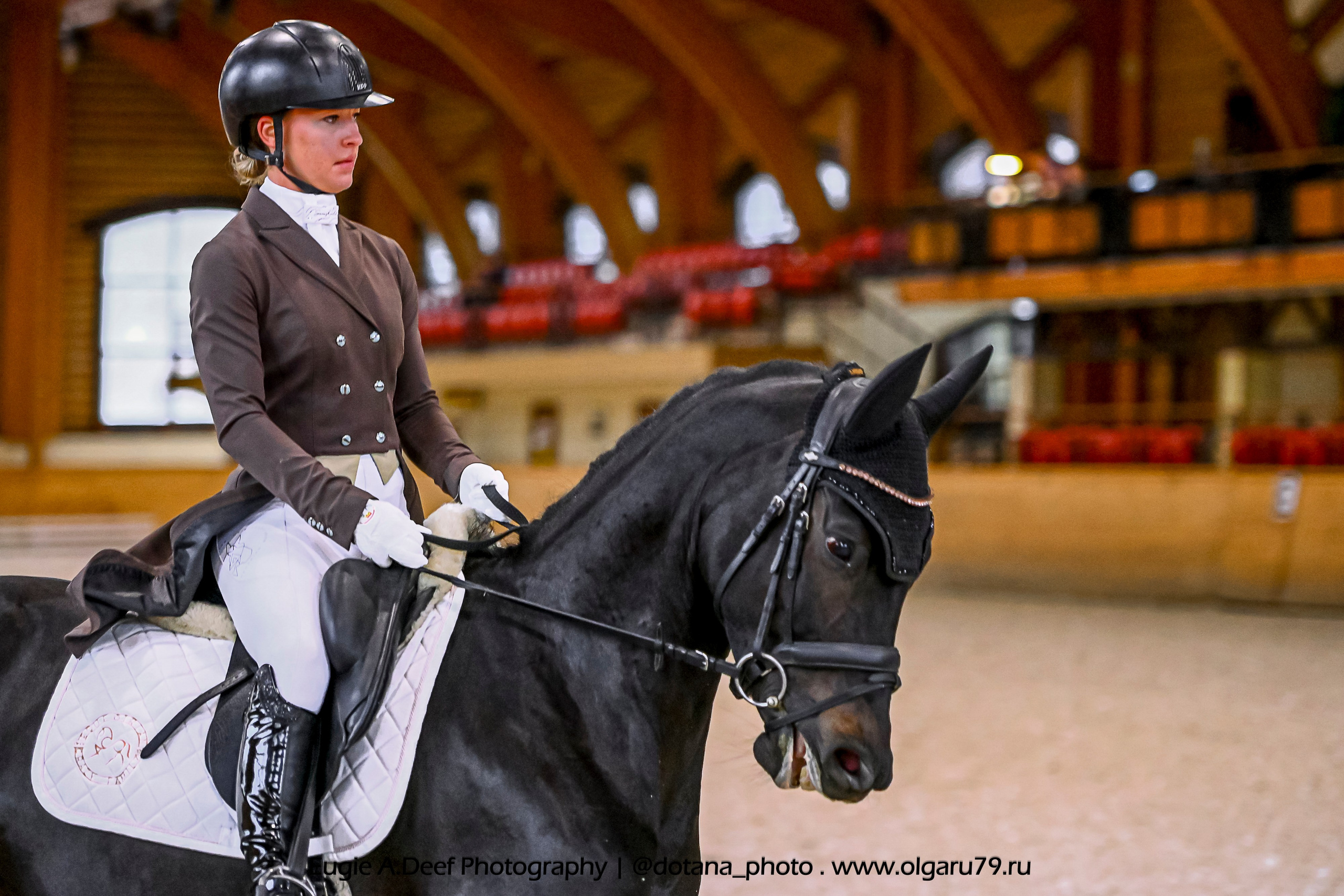2025.10.18 — КСК Пегас — выездка. ТУРНИРНАЯ КОННАЯ ФОТОГРАФИЯ, Руднева Ольга и Евгений Адеев