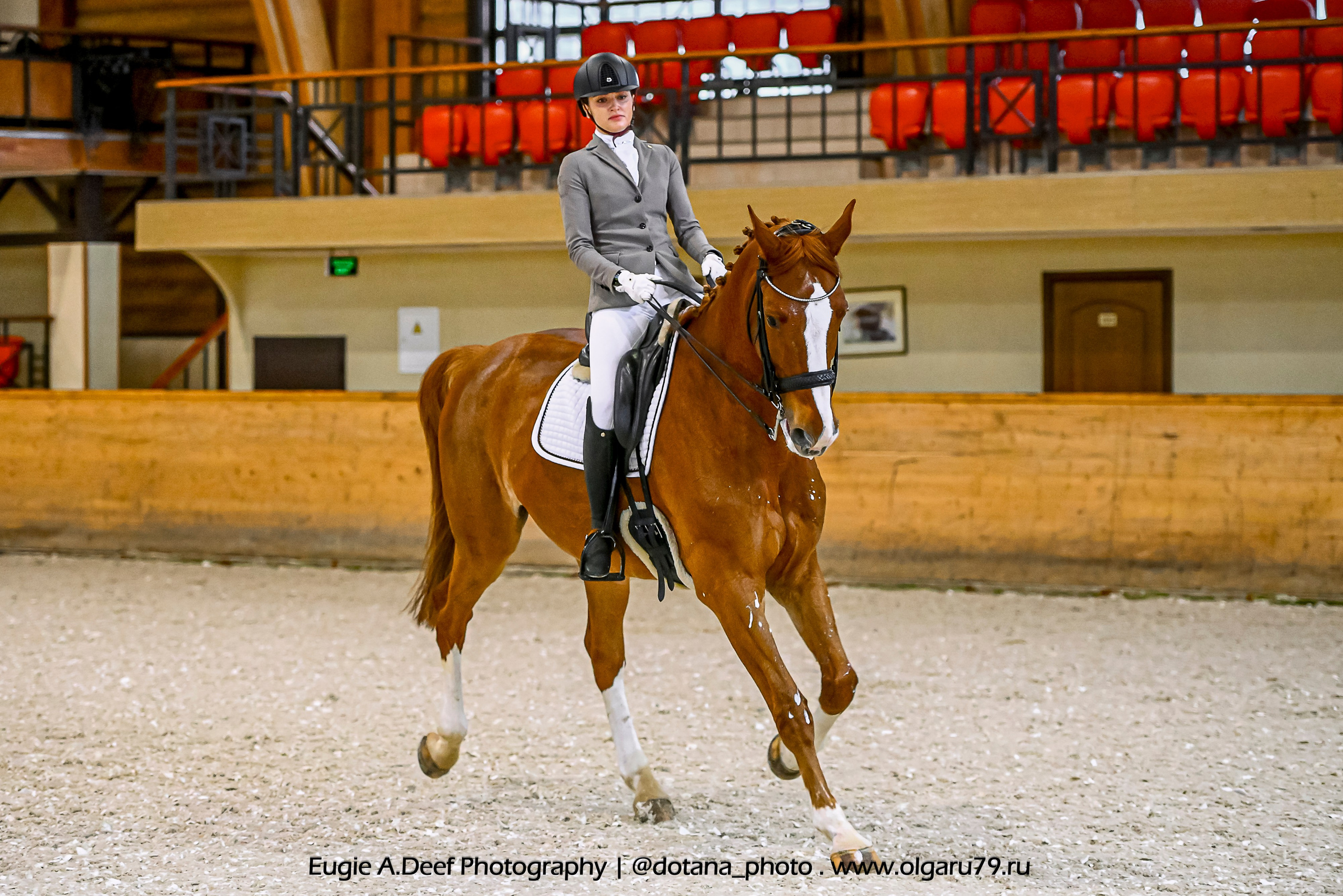 2025.10.18 — КСК Пегас — выездка. ТУРНИРНАЯ КОННАЯ ФОТОГРАФИЯ, Руднева Ольга и Евгений Адеев