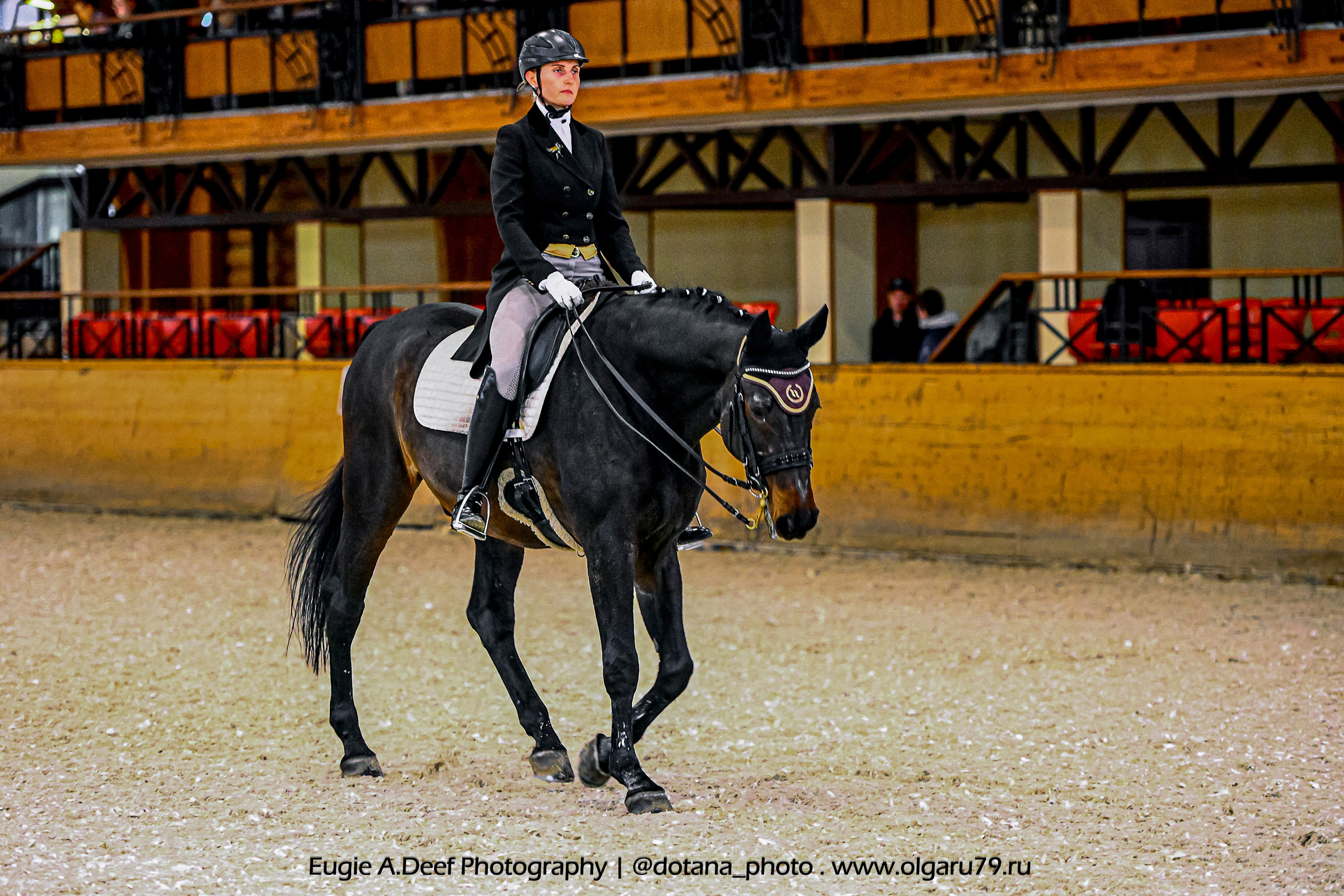2025.10.18 — КСК Пегас — выездка. ТУРНИРНАЯ КОННАЯ ФОТОГРАФИЯ, Руднева Ольга и Евгений Адеев