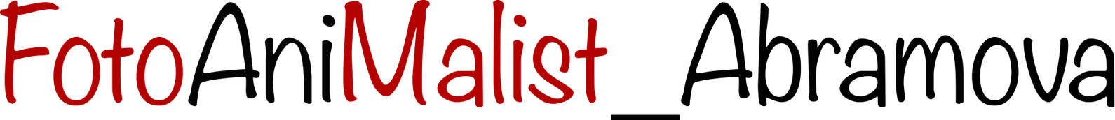 fotoanimalist-abramova.ru