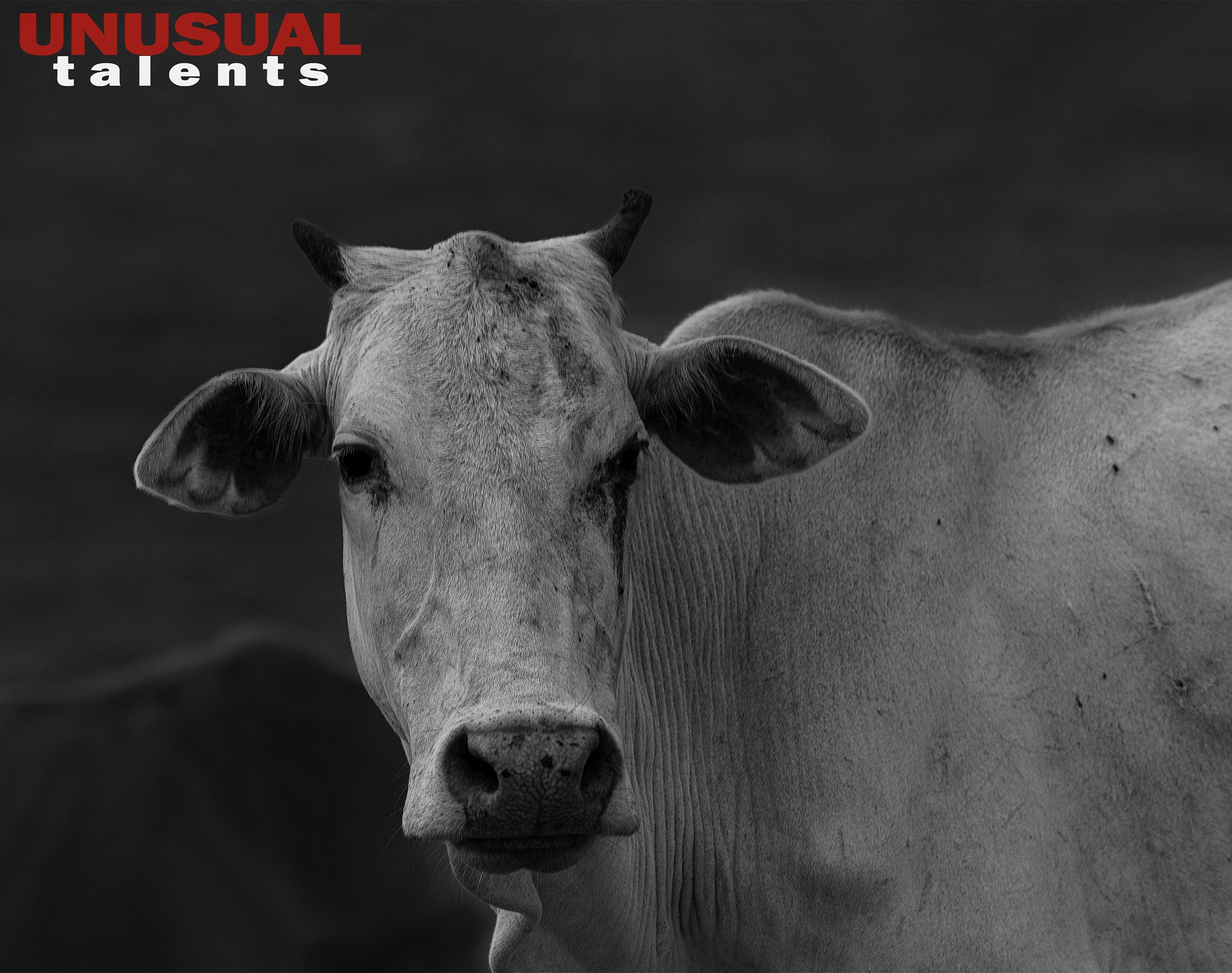 Ekaterina Kott. UNUSUAL TALENT magazine