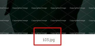 Как выбрать фотографии в альбом. Выпускные альбомы в Минске, фотоальбом в школу и детский сад