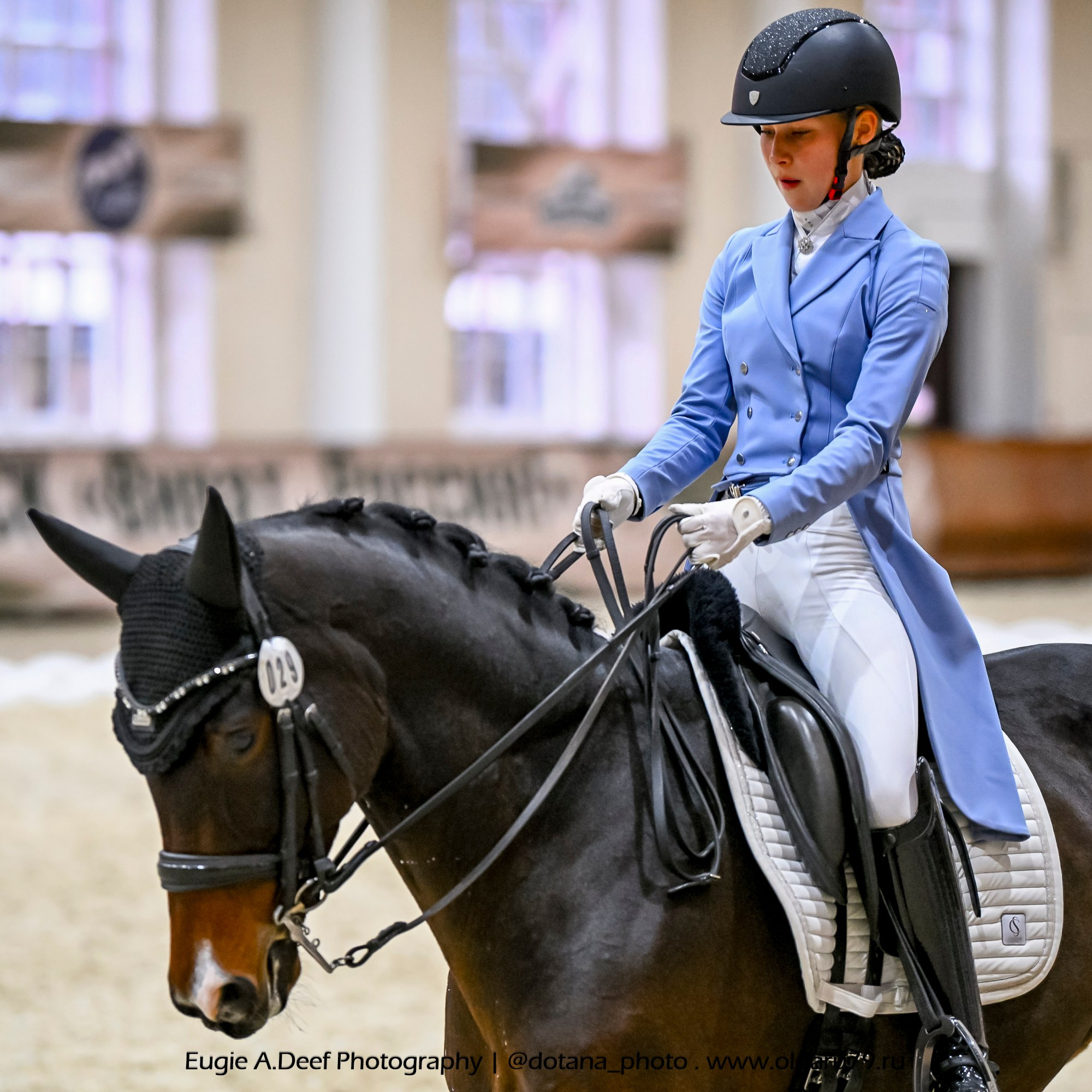 2025.10.30 и 31 — КСК Виват, Россия! (выездка). ТУРНИРНАЯ КОННАЯ ФОТОГРАФИЯ, Руднева Ольга и Евгений Адеев
