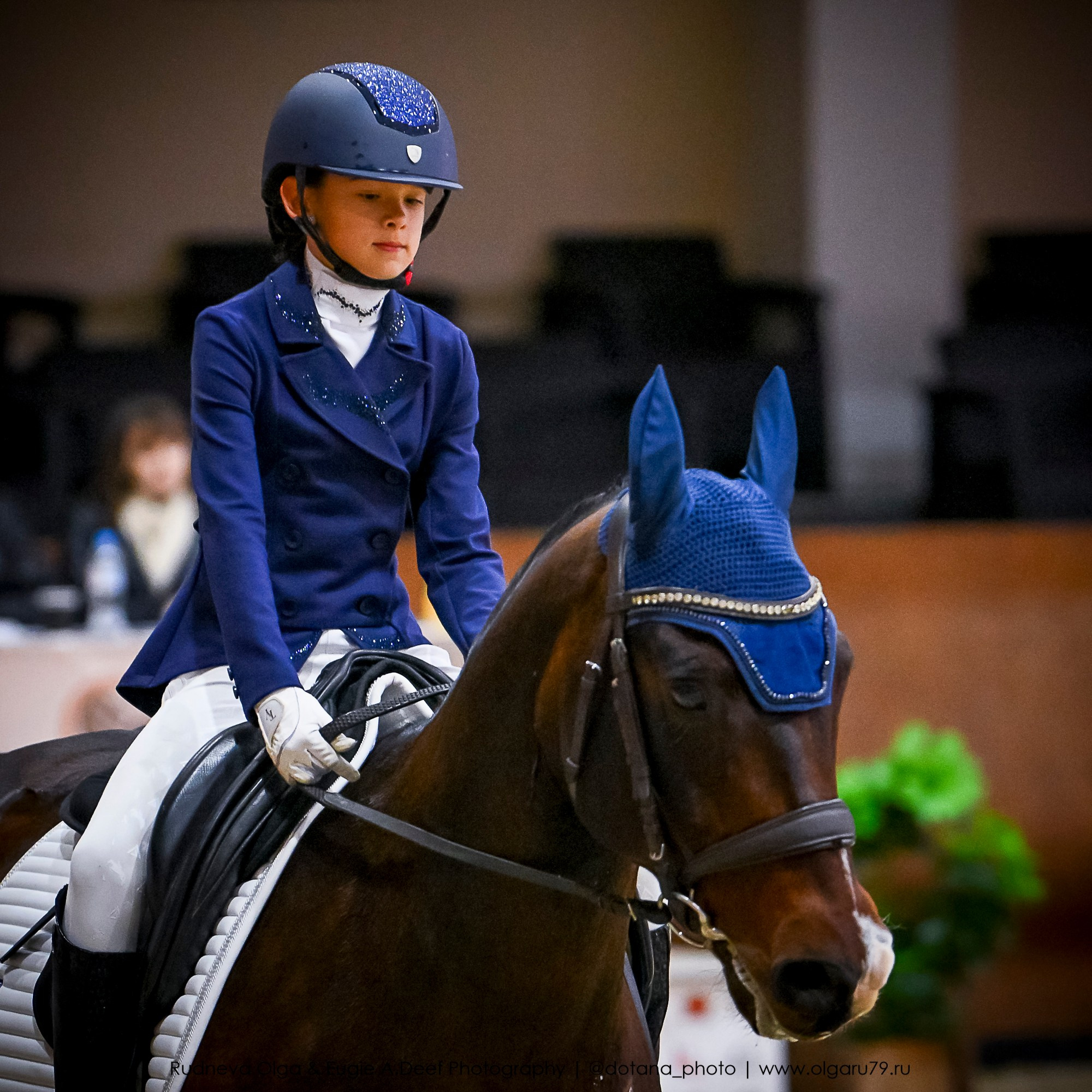 2025.10.30 и 31 — КСК Виват, Россия! (выездка). ТУРНИРНАЯ КОННАЯ ФОТОГРАФИЯ, Руднева Ольга и Евгений Адеев
