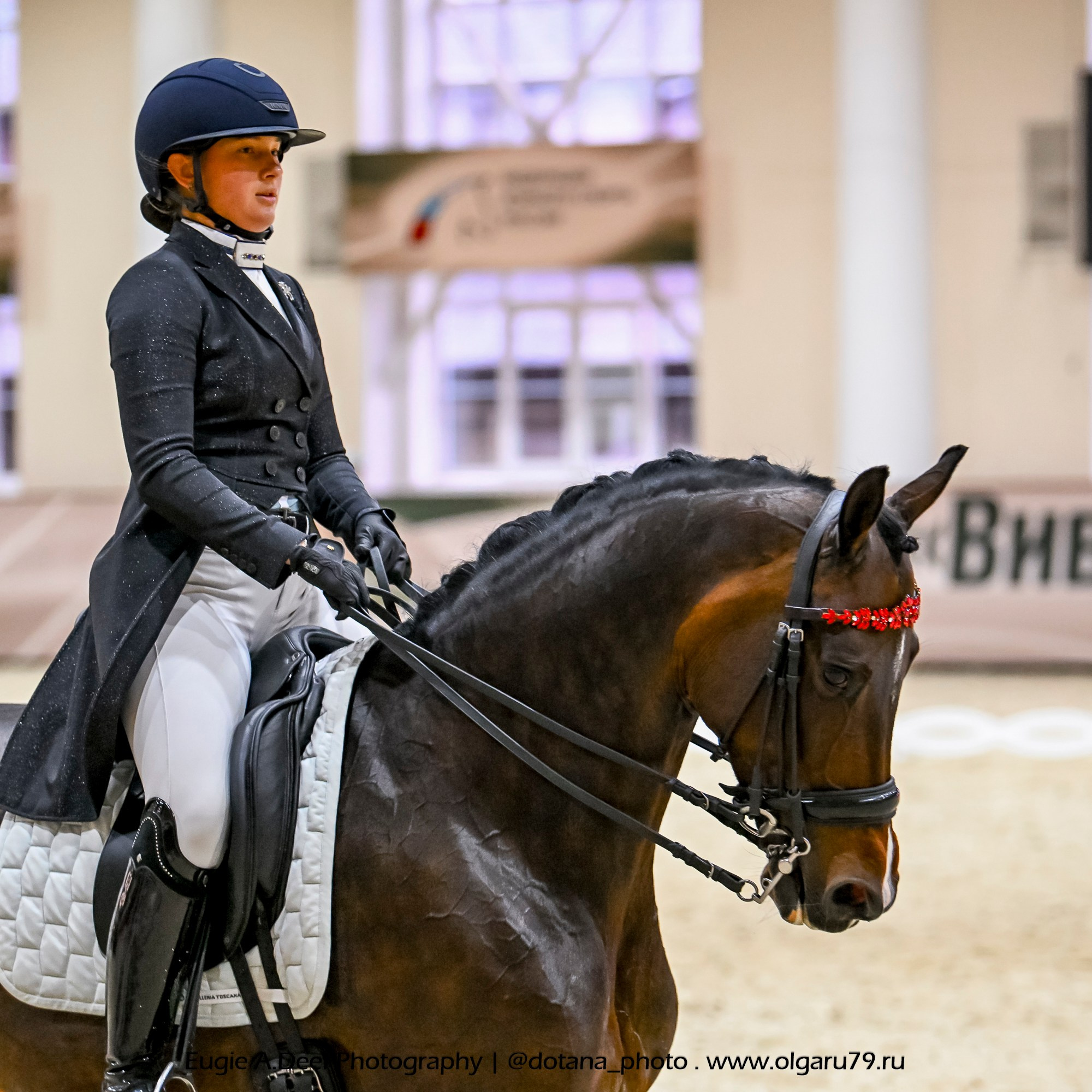 2025.10.30 и 31 — КСК Виват, Россия! (выездка). ТУРНИРНАЯ КОННАЯ ФОТОГРАФИЯ, Руднева Ольга и Евгений Адеев