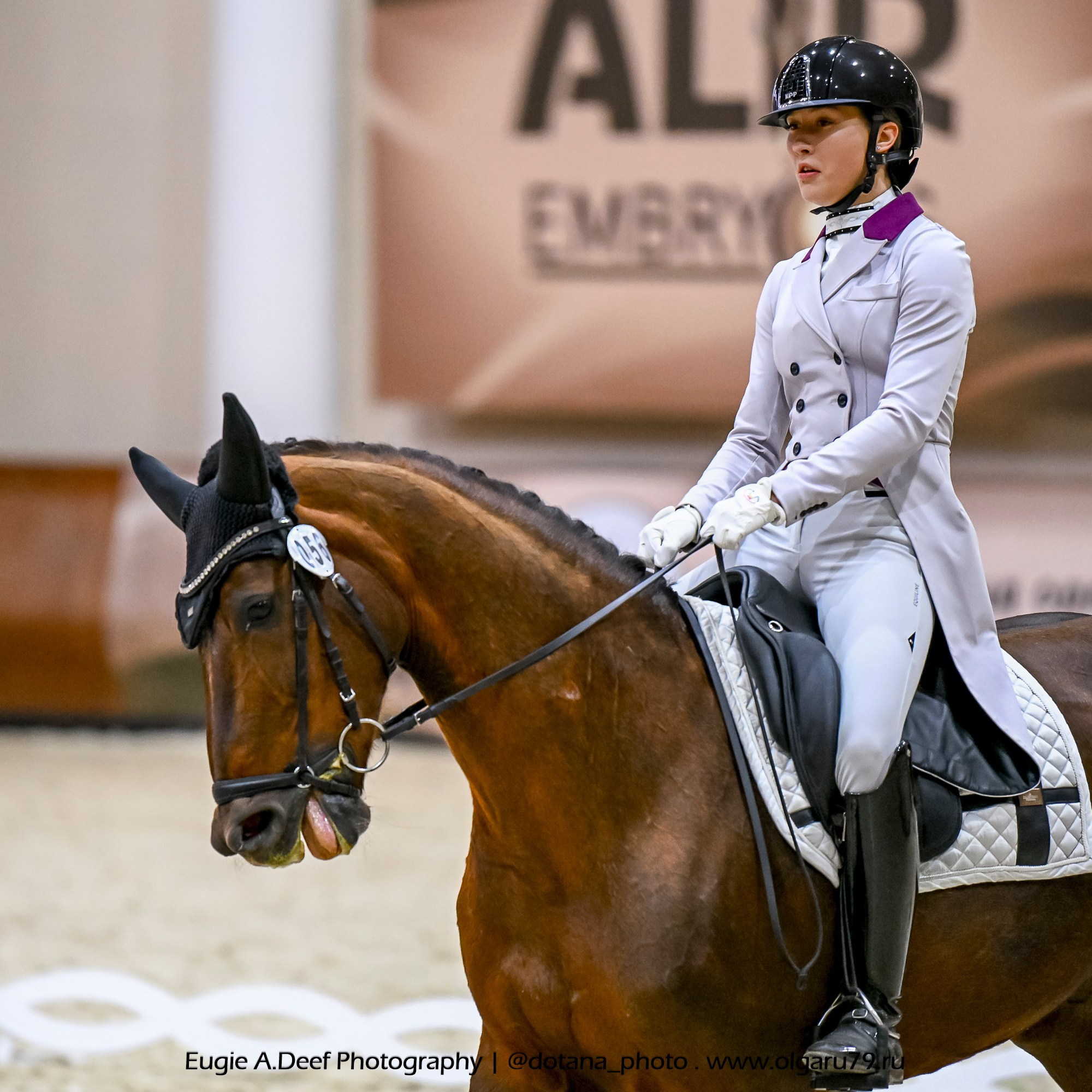 2025.10.30 и 31 — КСК Виват, Россия! (выездка). ТУРНИРНАЯ КОННАЯ ФОТОГРАФИЯ, Руднева Ольга и Евгений Адеев