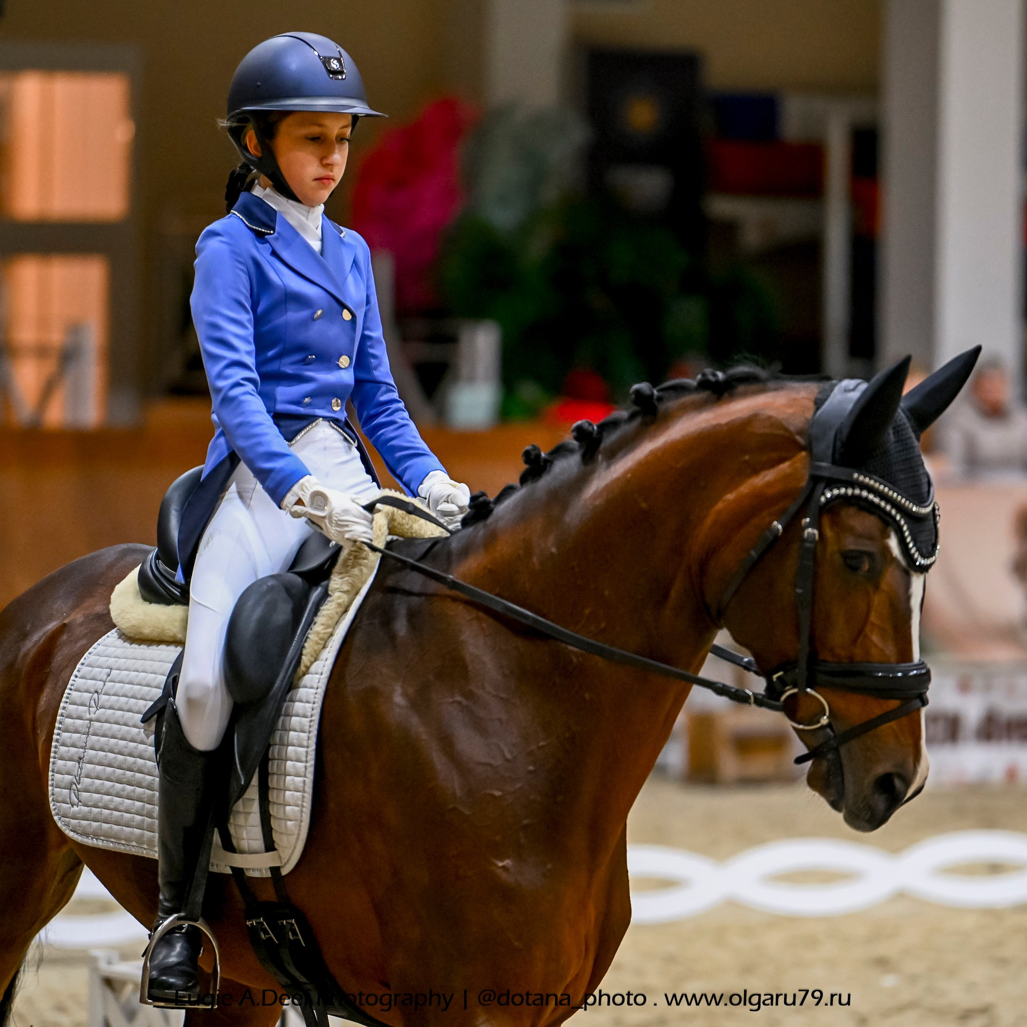 2025.10.30 и 31 — КСК Виват, Россия! (выездка). ТУРНИРНАЯ КОННАЯ ФОТОГРАФИЯ, Руднева Ольга и Евгений Адеев
